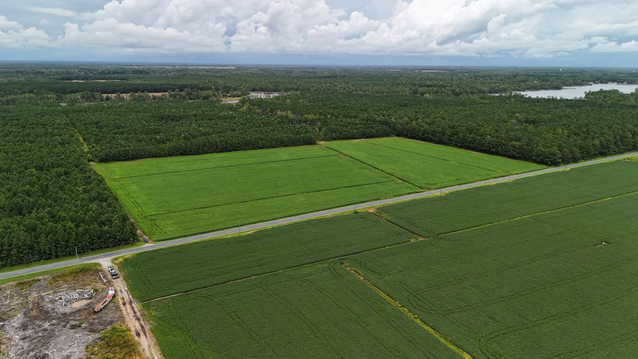 Rare 210-AC Tract with Green’s Creek Frontage