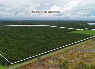 Rare 210-AC Tract with Green’s Creek Frontage