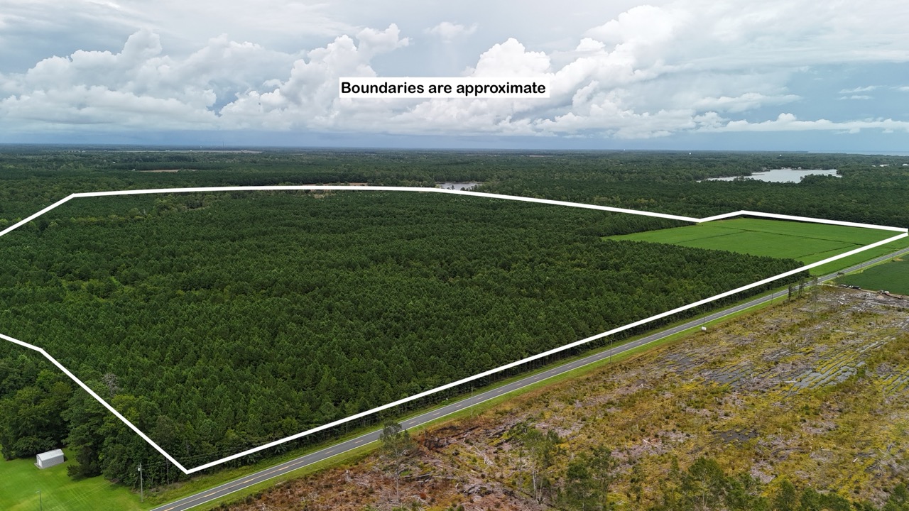 Rare 210-AC Tract with Green’s Creek Frontage