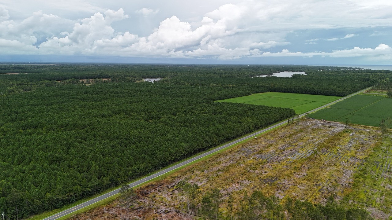 Rare 210-AC Tract with Green’s Creek Frontage
