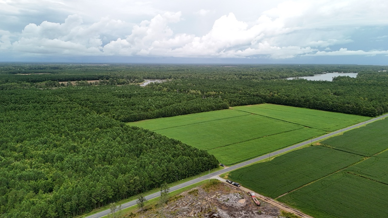 Rare 210-AC Tract with Green’s Creek Frontage