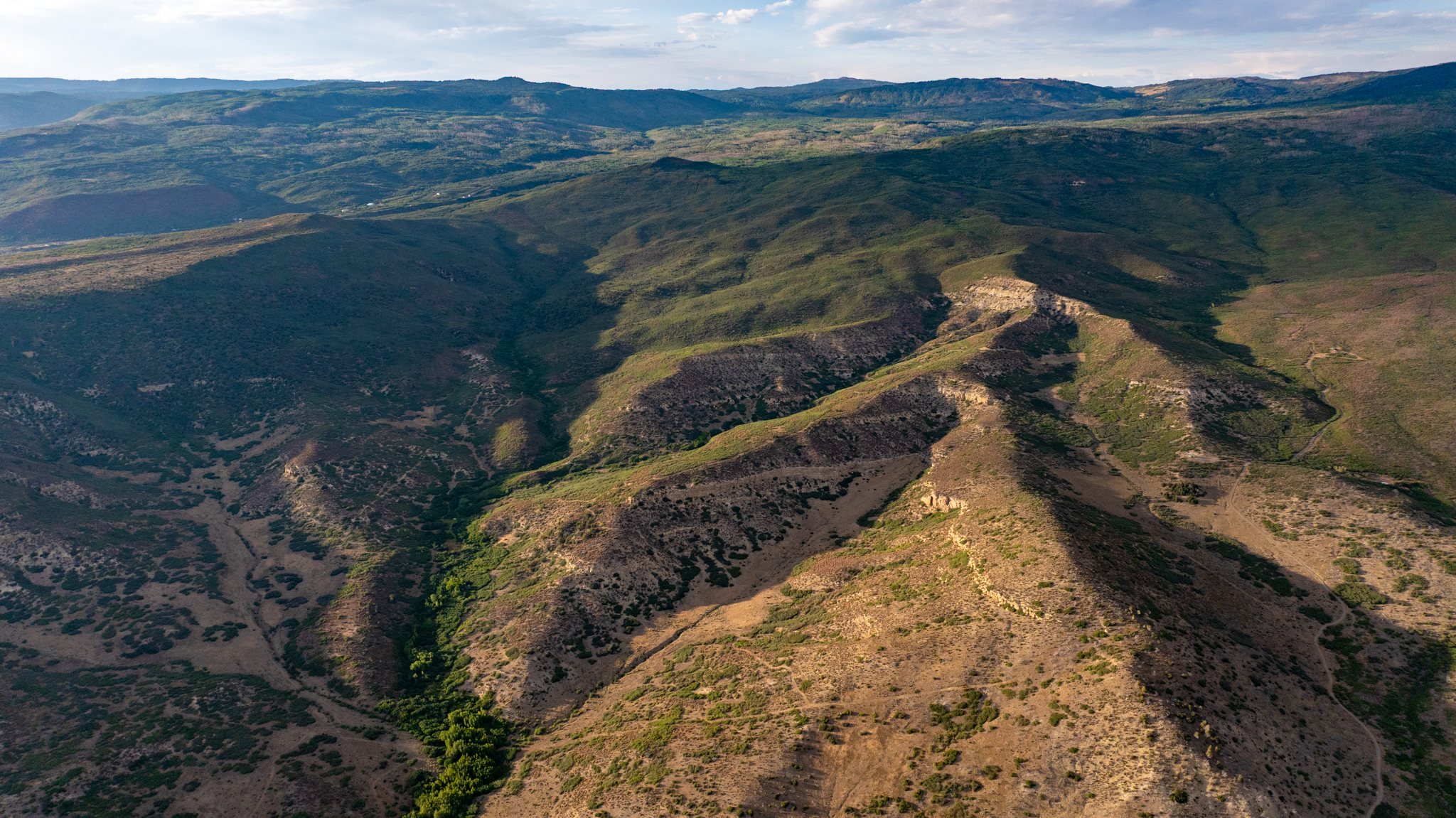 Green Mountain Ranch – Exceptional Hunting Property – Cedaredge, CO – 391 Acres on the Edge of the Grand Mesa