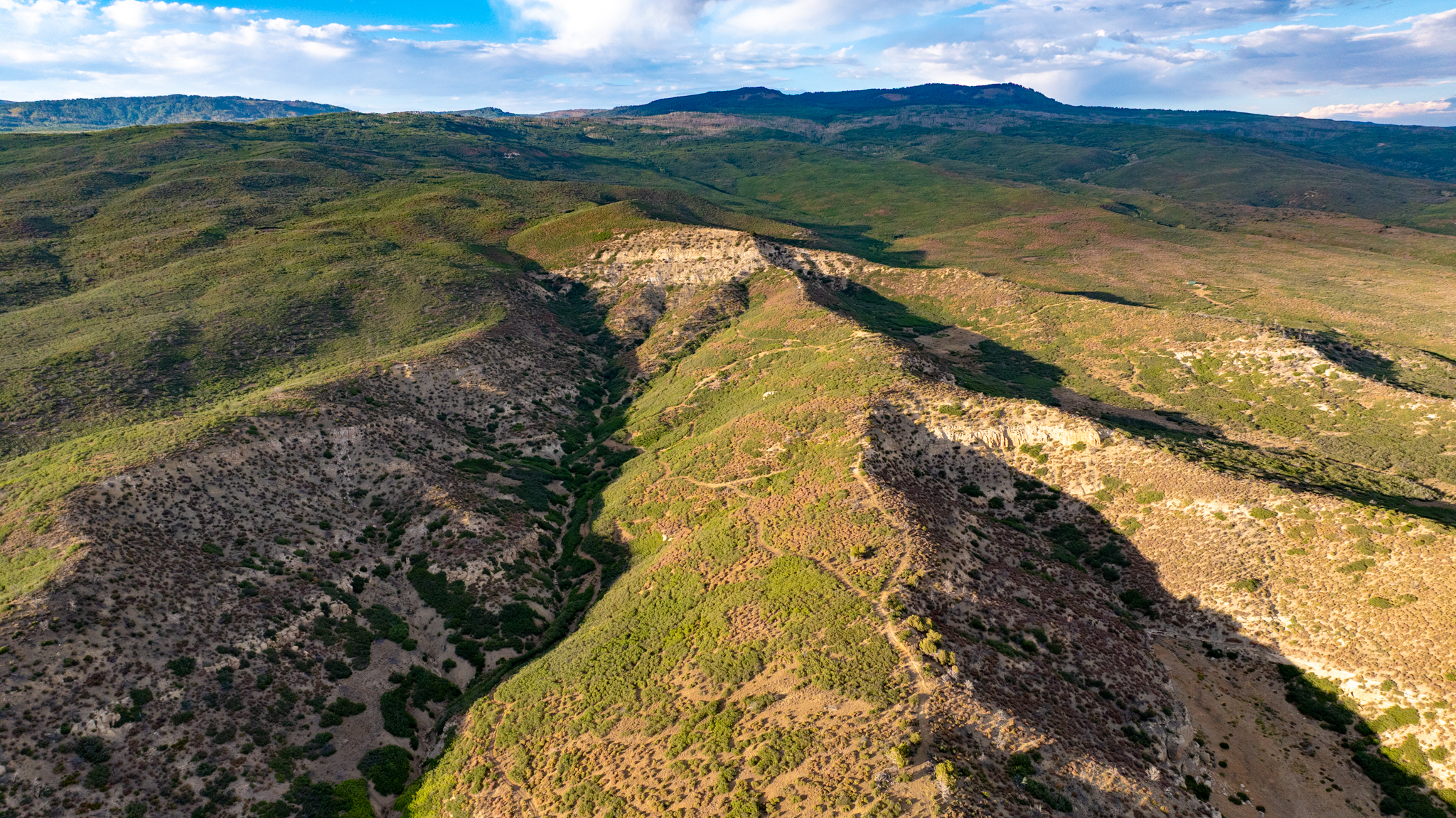 Green Mountain Ranch – Exceptional Hunting Property – Cedaredge, CO – 391 Acres on the Edge of the Grand Mesa