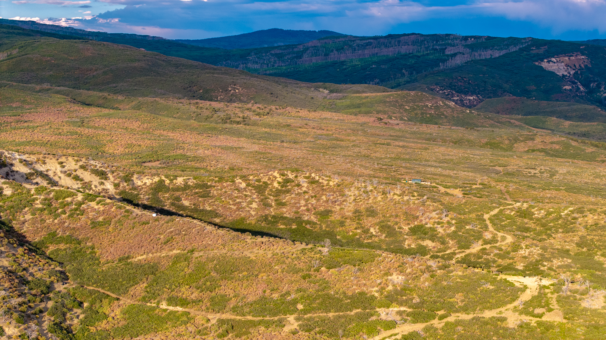 Green Mountain Ranch – Exceptional Hunting Property – Cedaredge, CO – 391 Acres on the Edge of the Grand Mesa