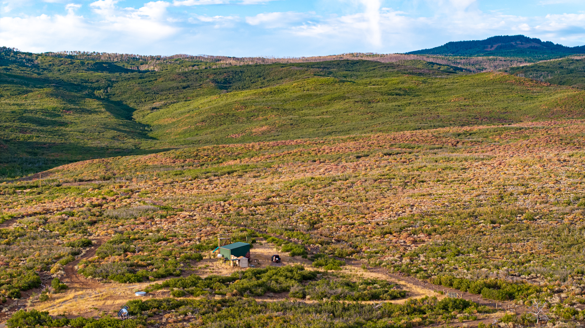 Green Mountain Ranch – Exceptional Hunting Property – Cedaredge, CO – 391 Acres on the Edge of the Grand Mesa