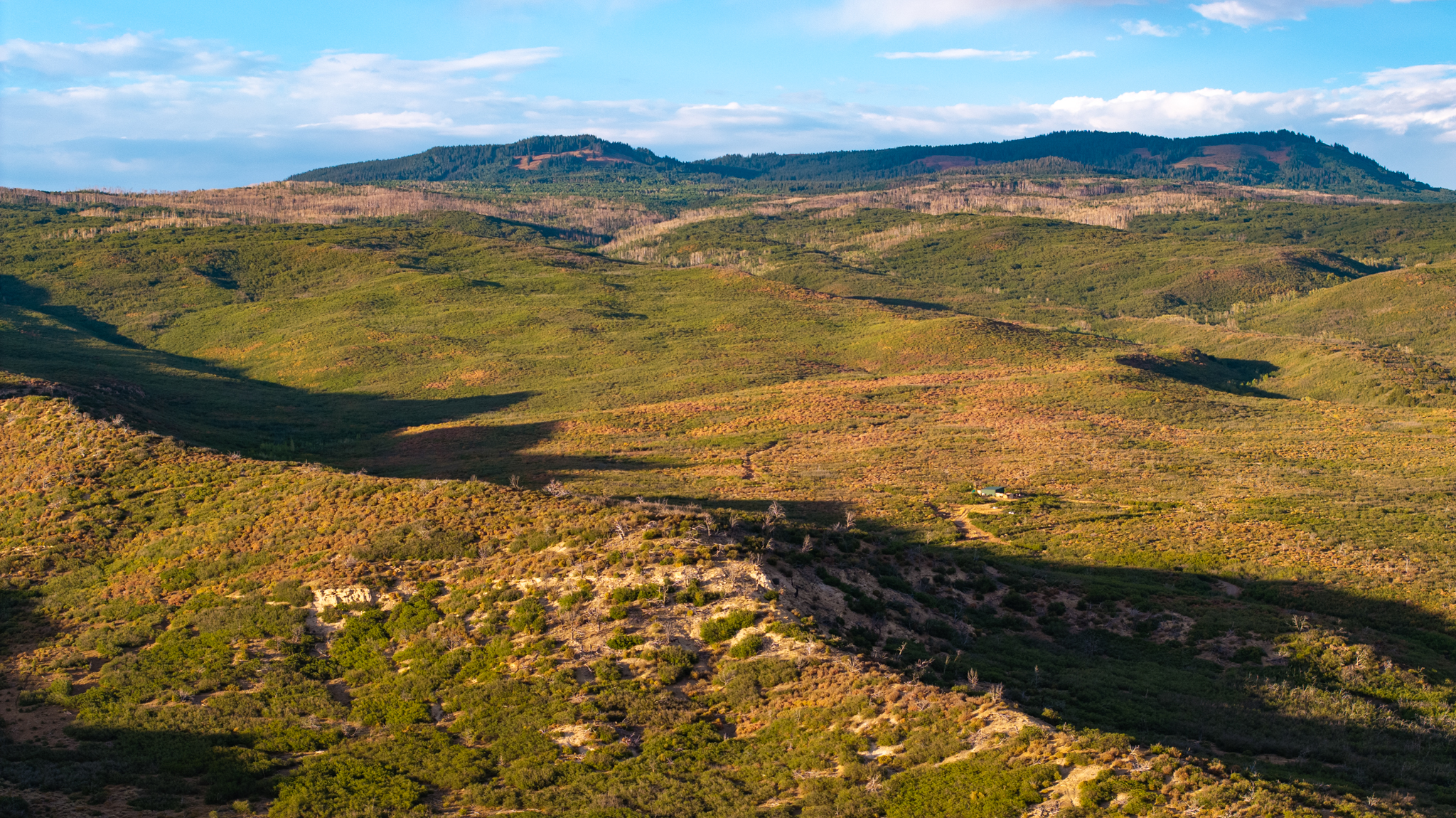 Green Mountain Ranch – Exceptional Hunting Property – Cedaredge, CO – 391 Acres on the Edge of the Grand Mesa