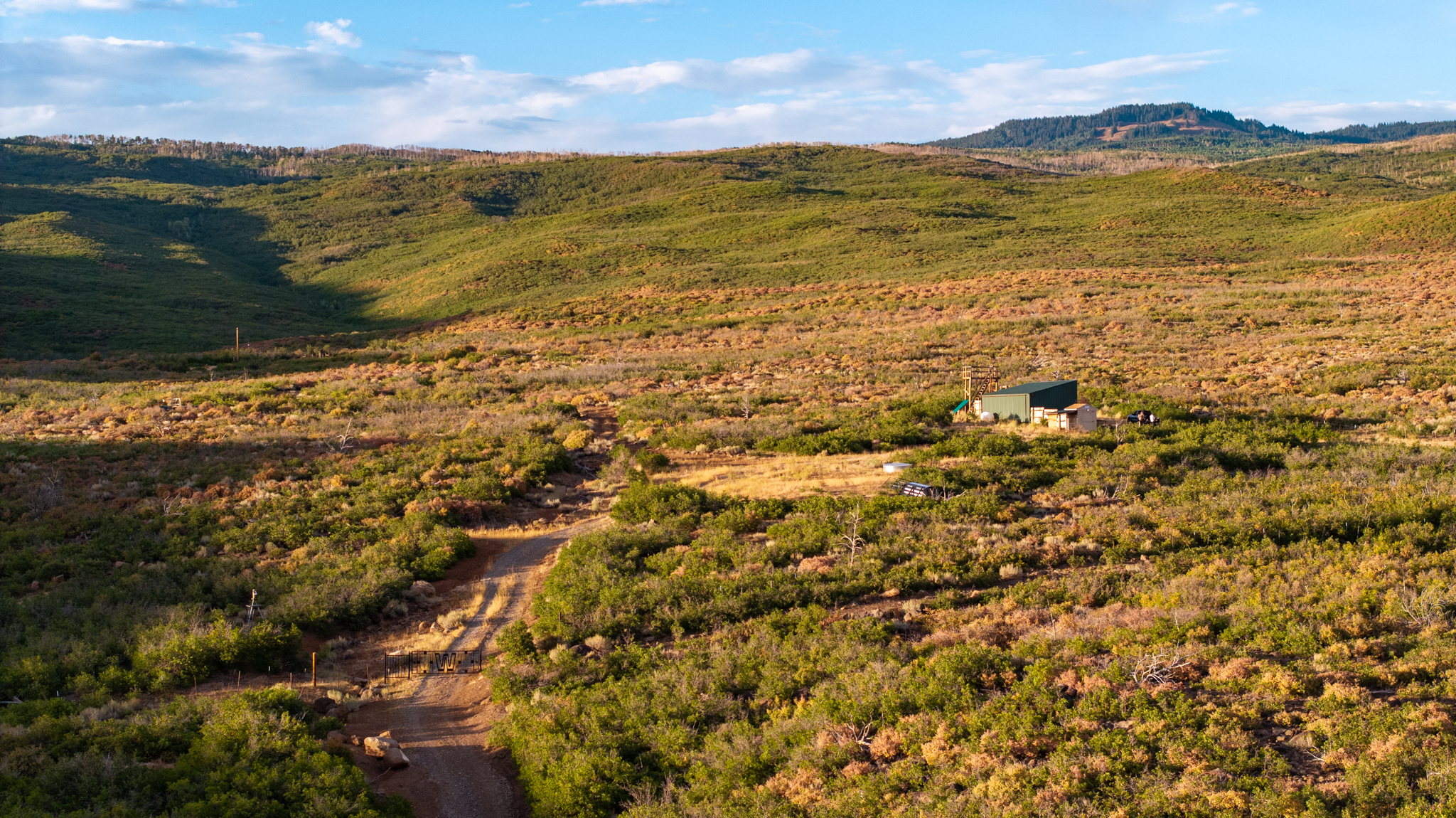 Green Mountain Ranch – Exceptional Hunting Property – Cedaredge, CO – 391 Acres on the Edge of the Grand Mesa