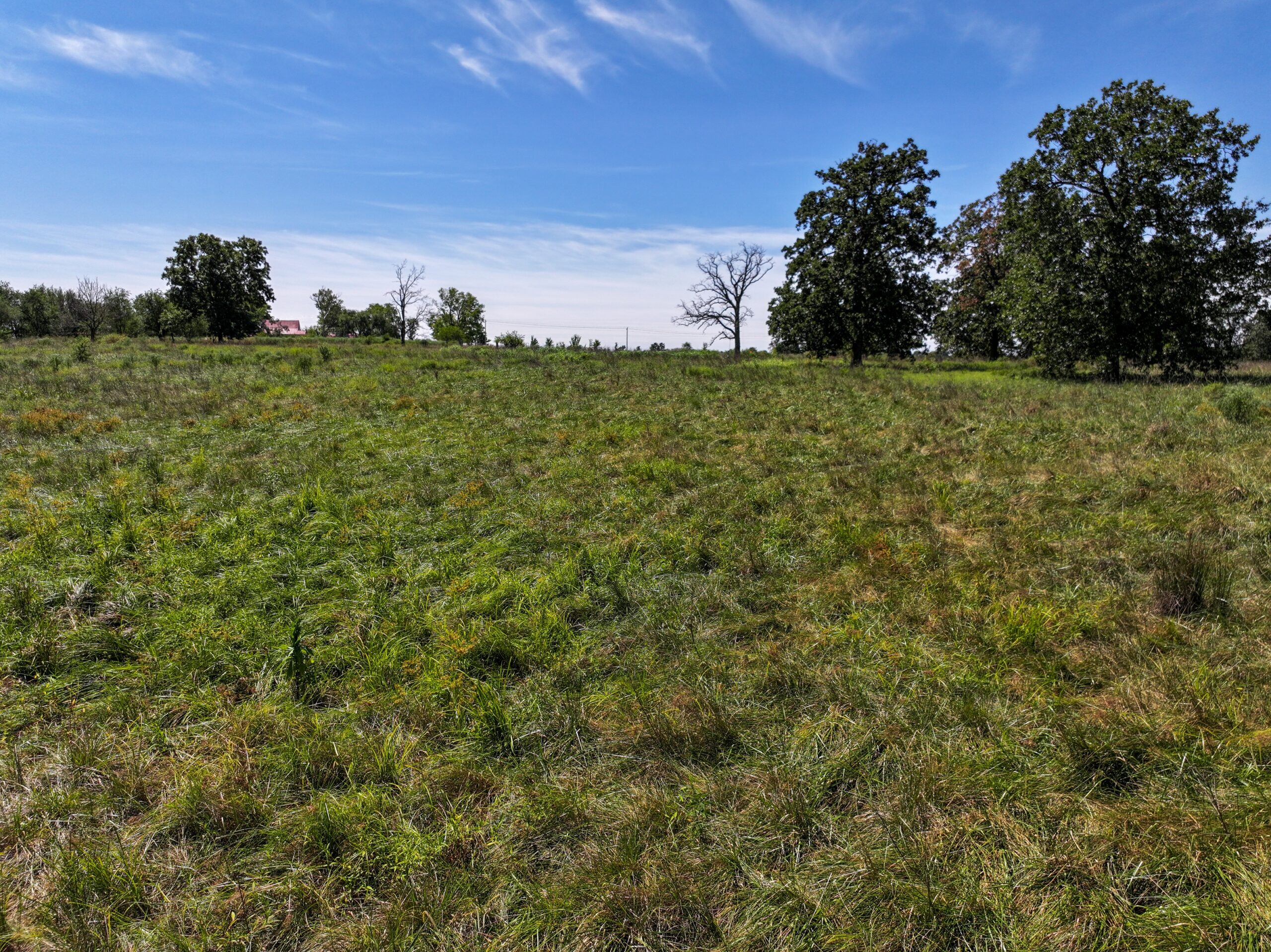 496+\- acres Sheldon MO