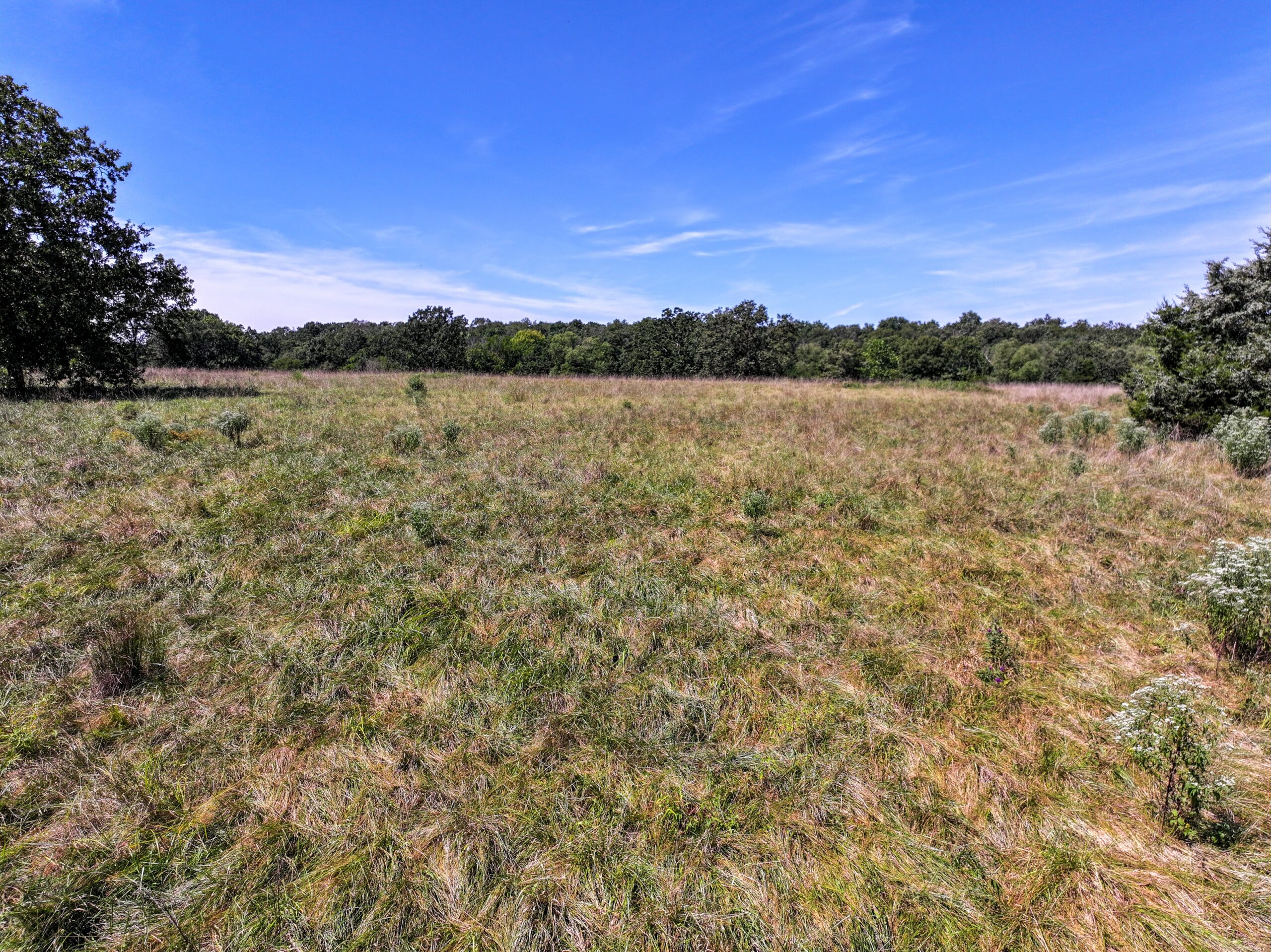 496+\- acres Sheldon MO