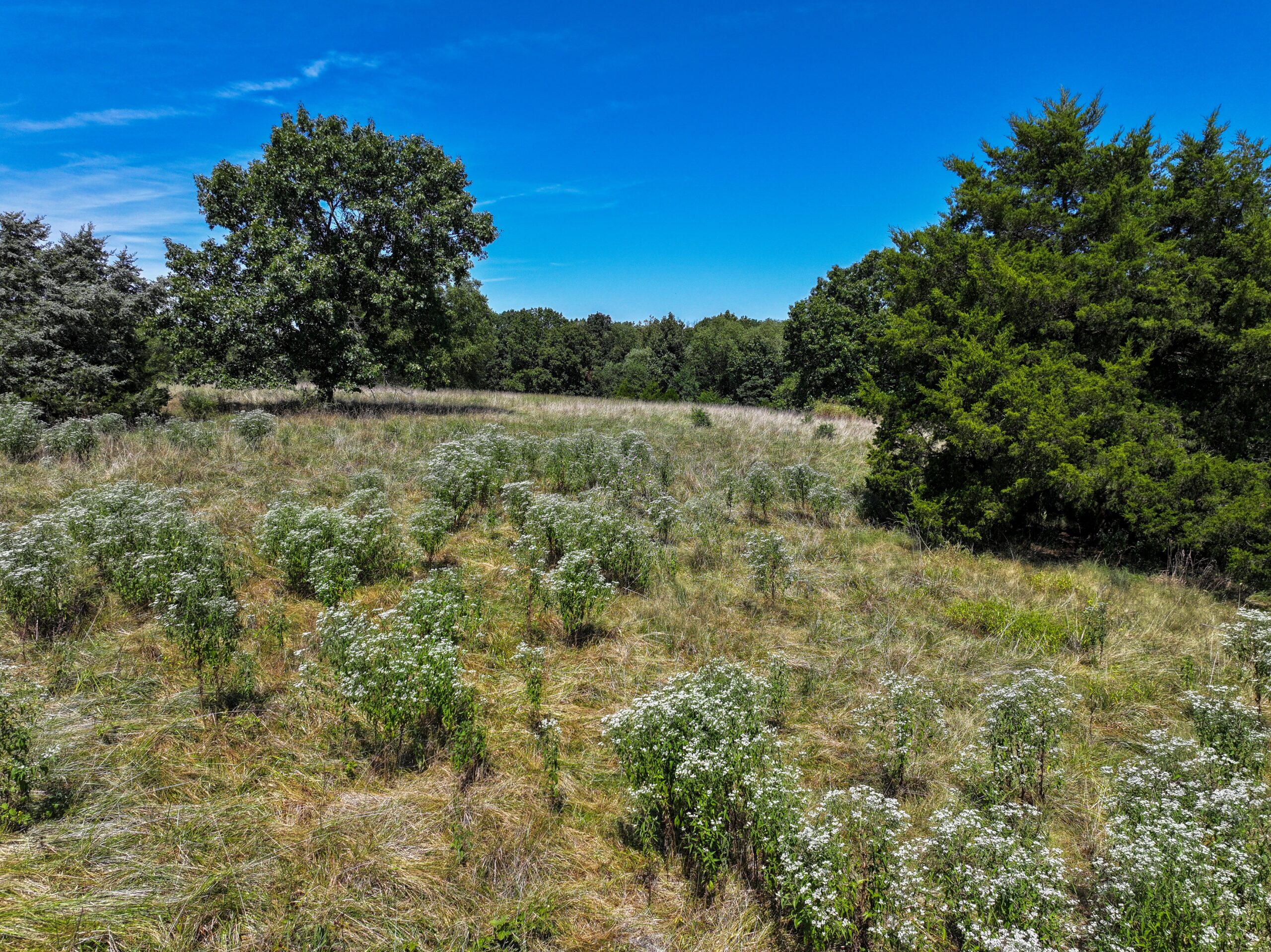496+\- acres Sheldon MO