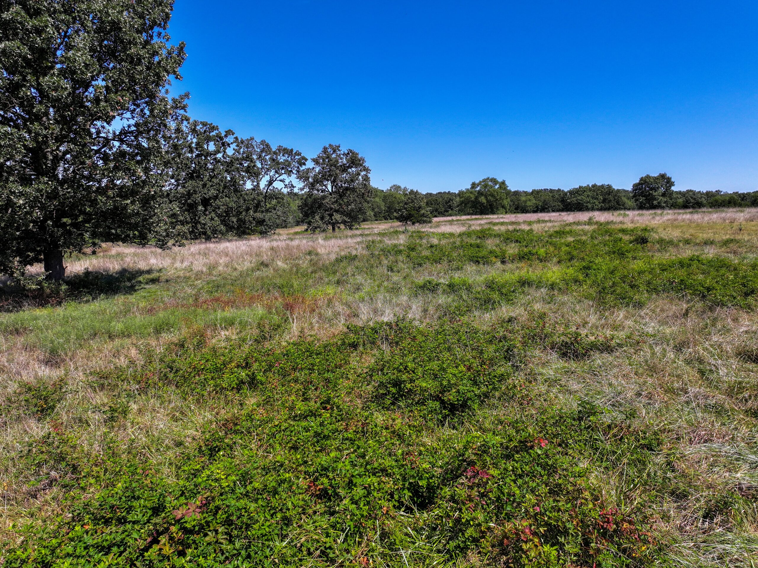496+\- acres Sheldon MO