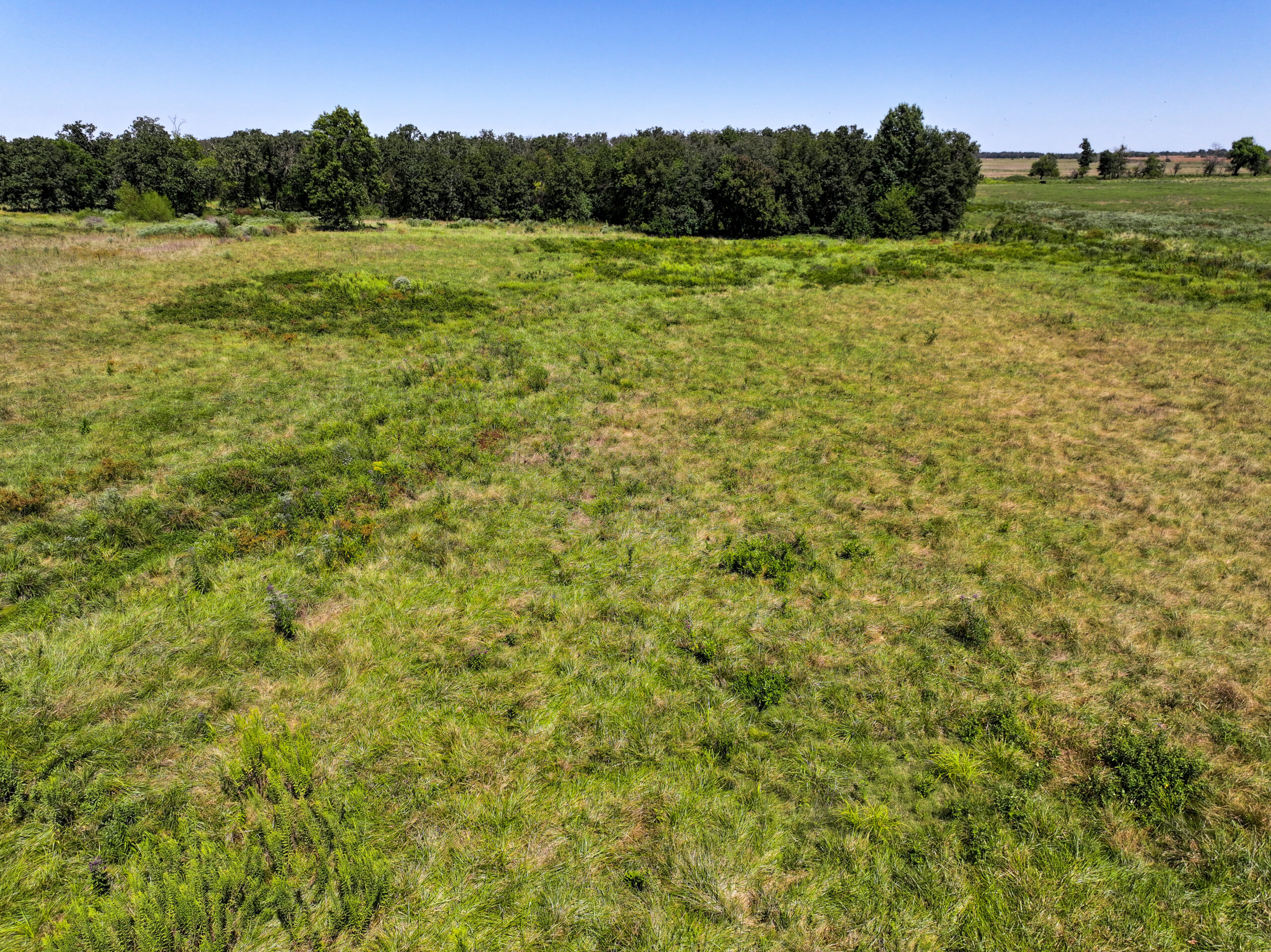 496+\- acres Sheldon MO