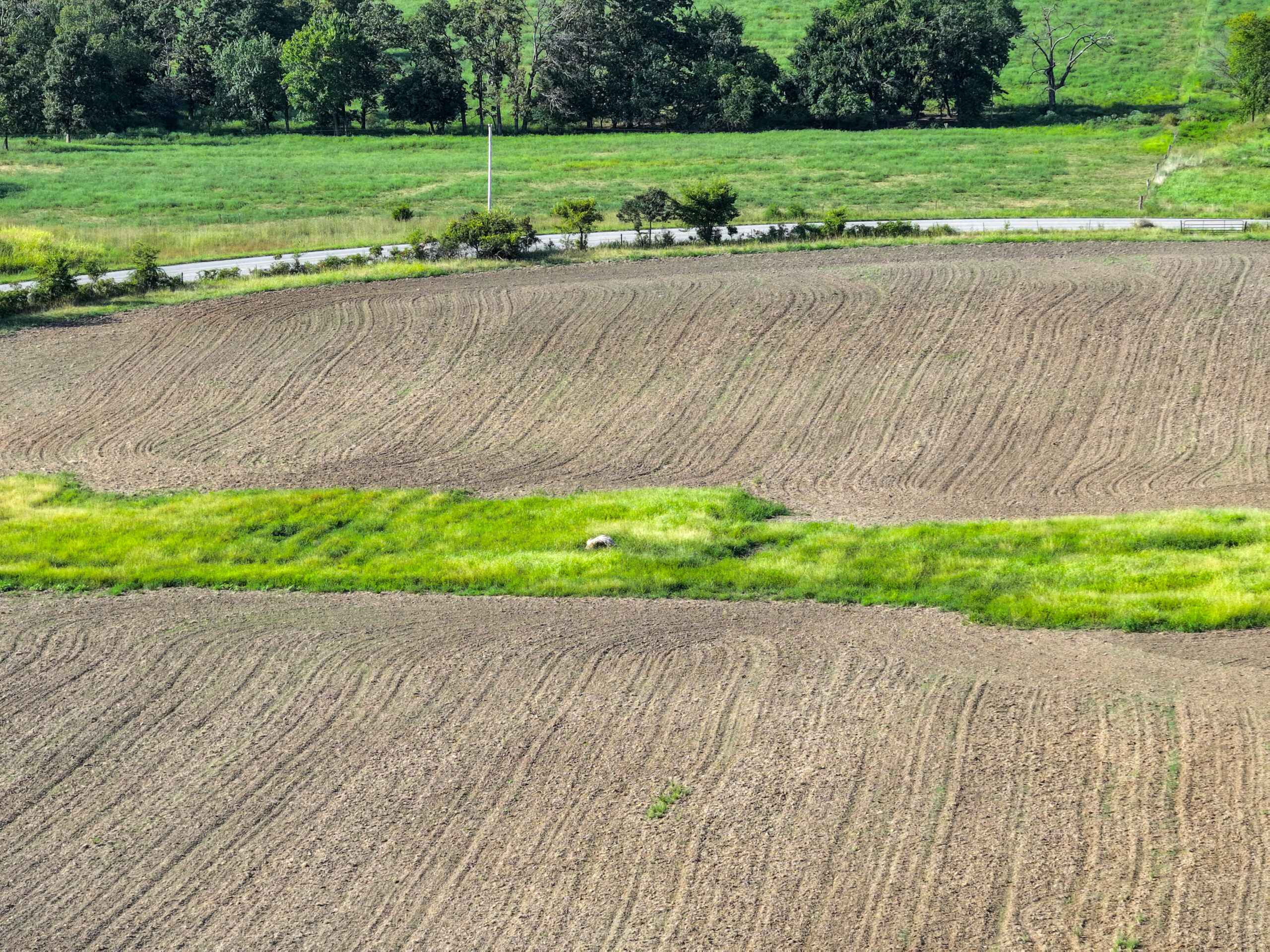 496+\- acres Sheldon MO