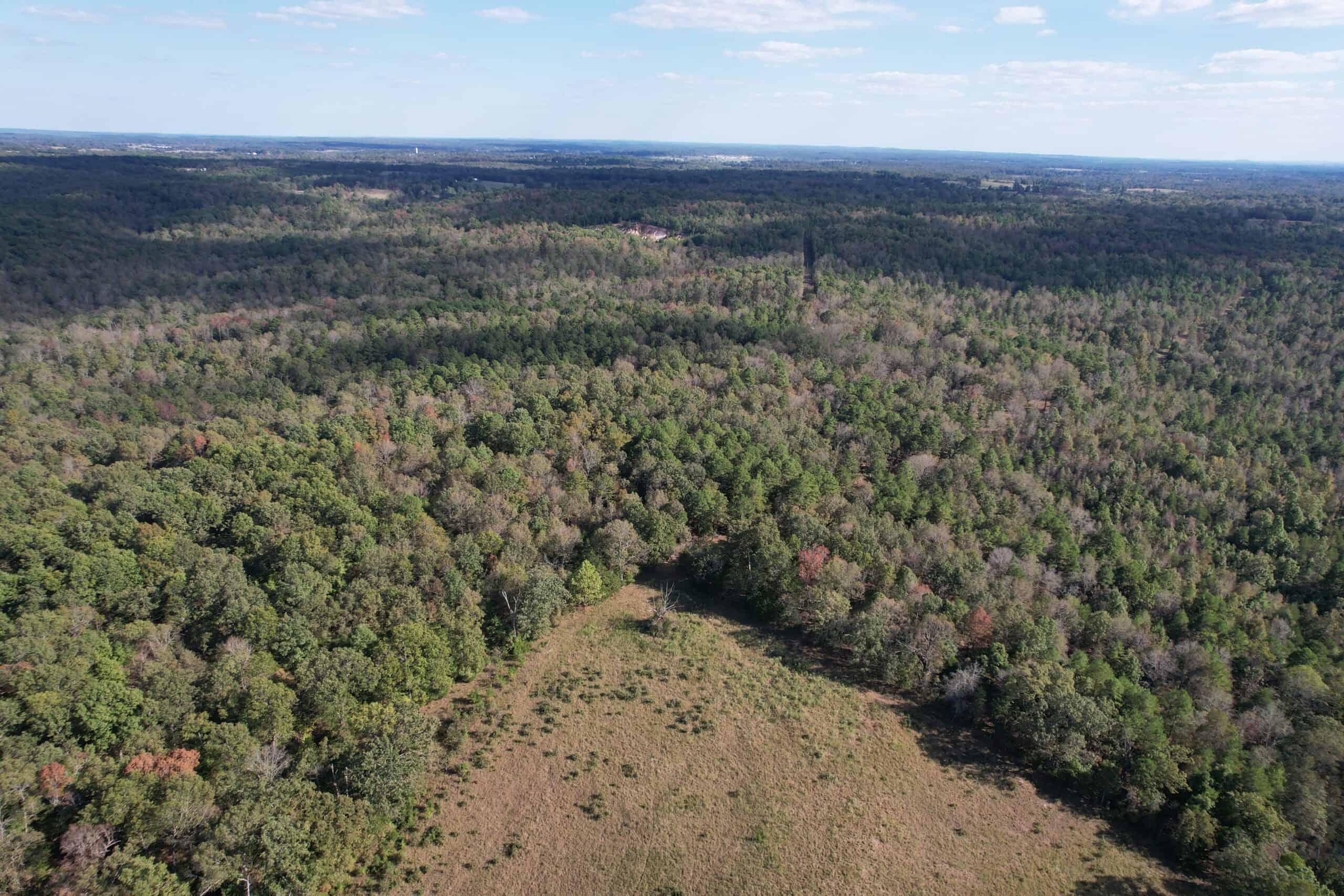 CABIN AND HUNTING LAND FOR SALE IN NORTH CENTRAL ARKANSAS