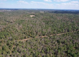 CABIN AND HUNTING LAND FOR SALE IN NORTH CENTRAL ARKANSAS