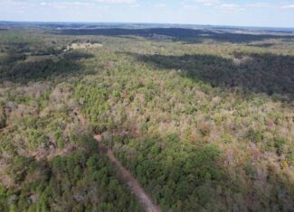 CABIN AND HUNTING LAND FOR SALE IN NORTH CENTRAL ARKANSAS