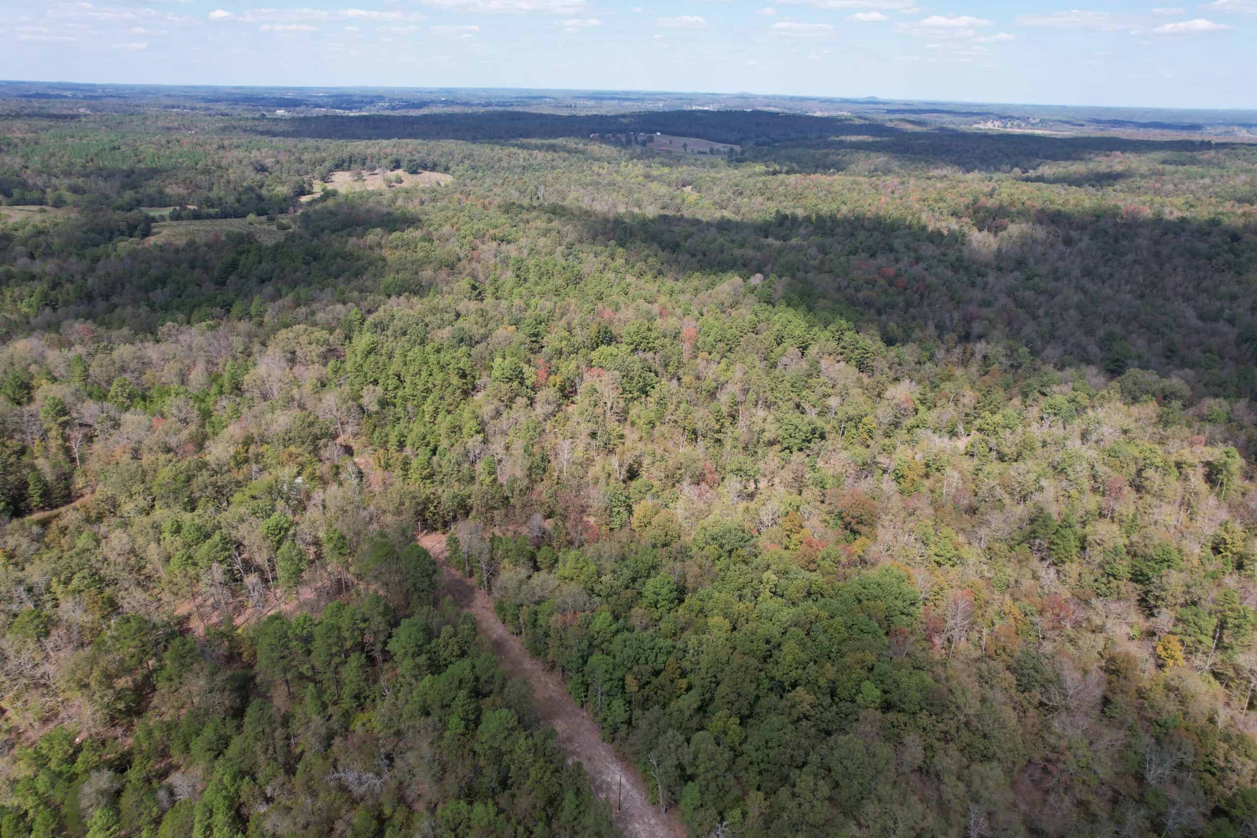 CABIN AND HUNTING LAND FOR SALE IN NORTH CENTRAL ARKANSAS