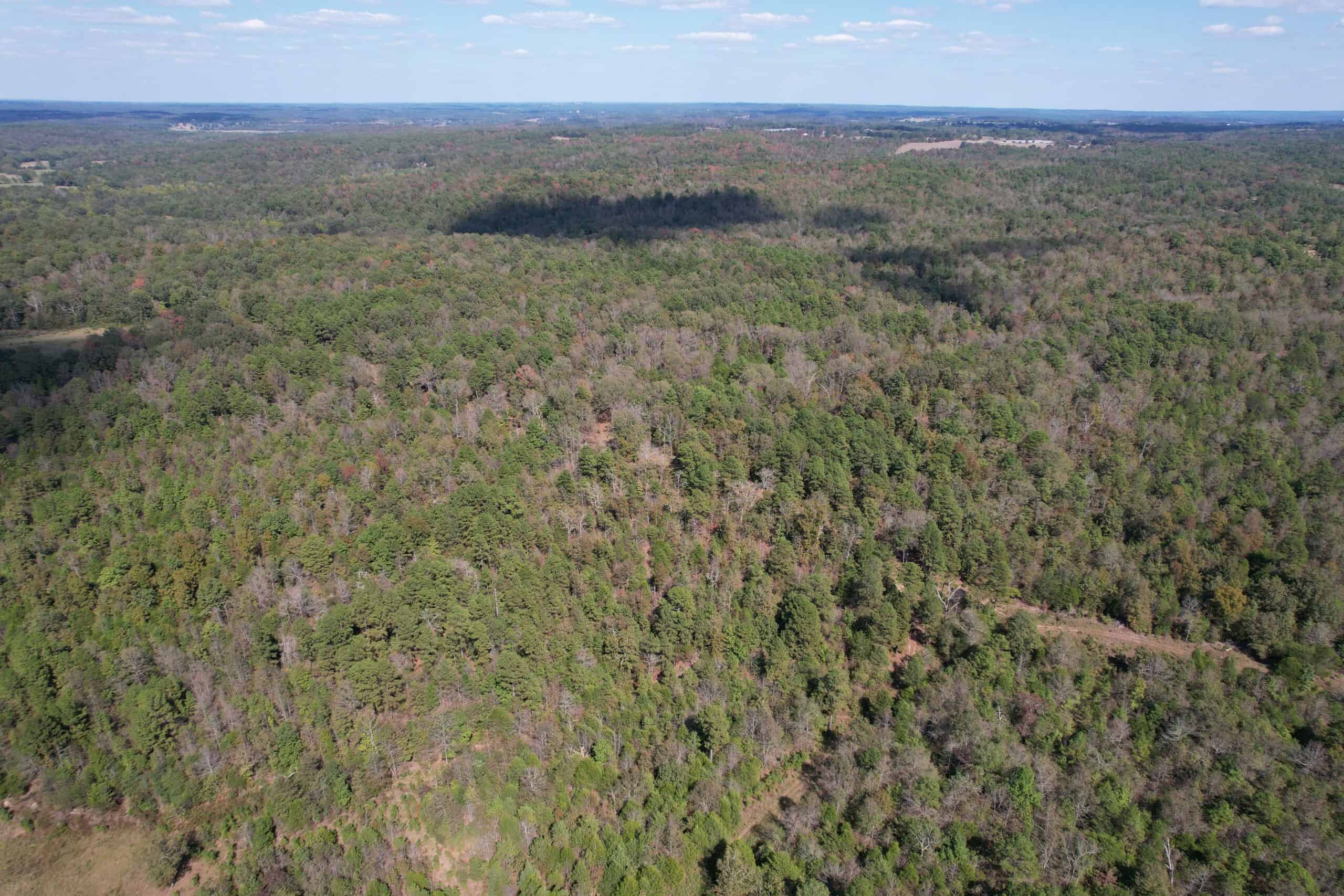 CABIN AND HUNTING LAND FOR SALE IN NORTH CENTRAL ARKANSAS
