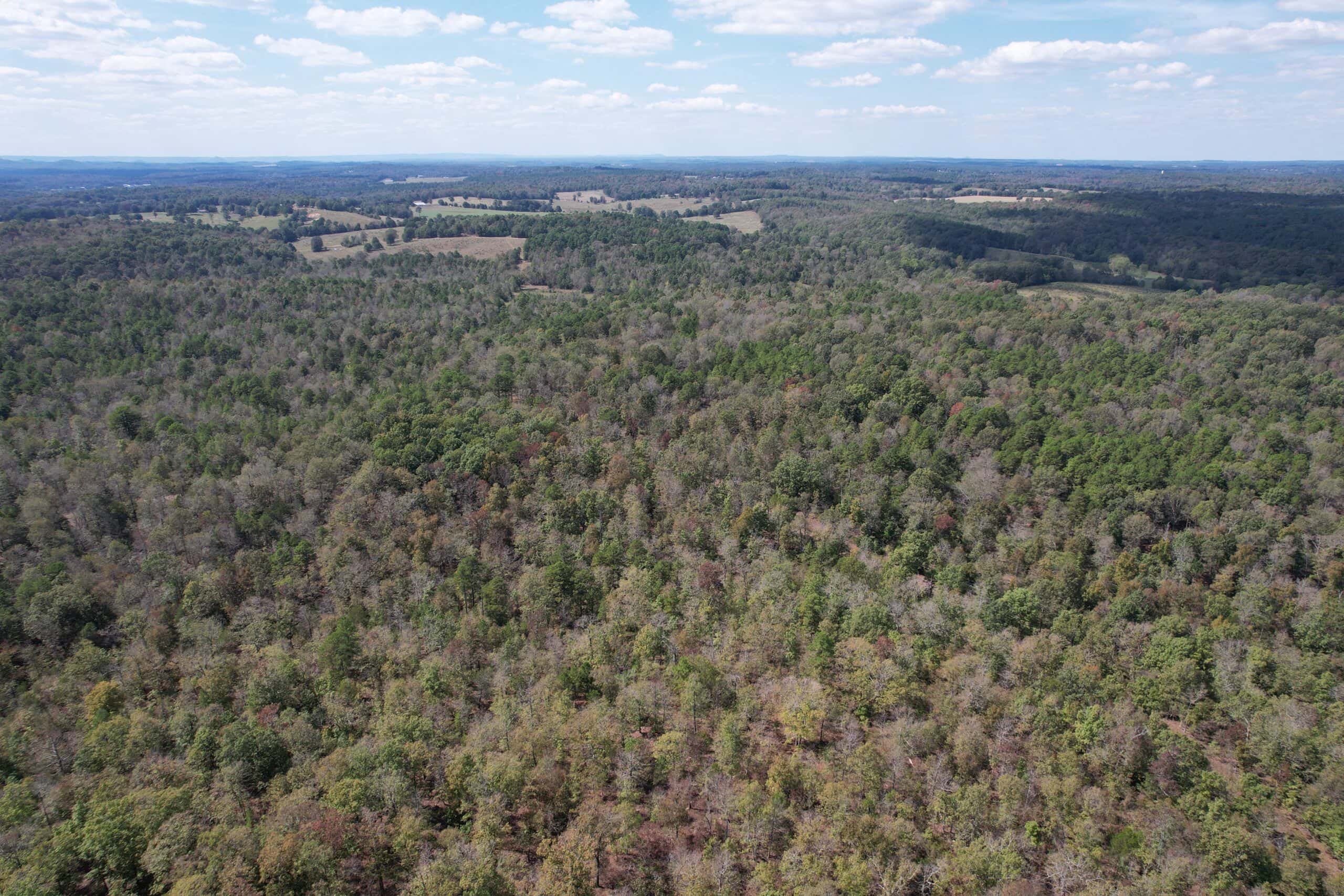 CABIN AND HUNTING LAND FOR SALE IN NORTH CENTRAL ARKANSAS