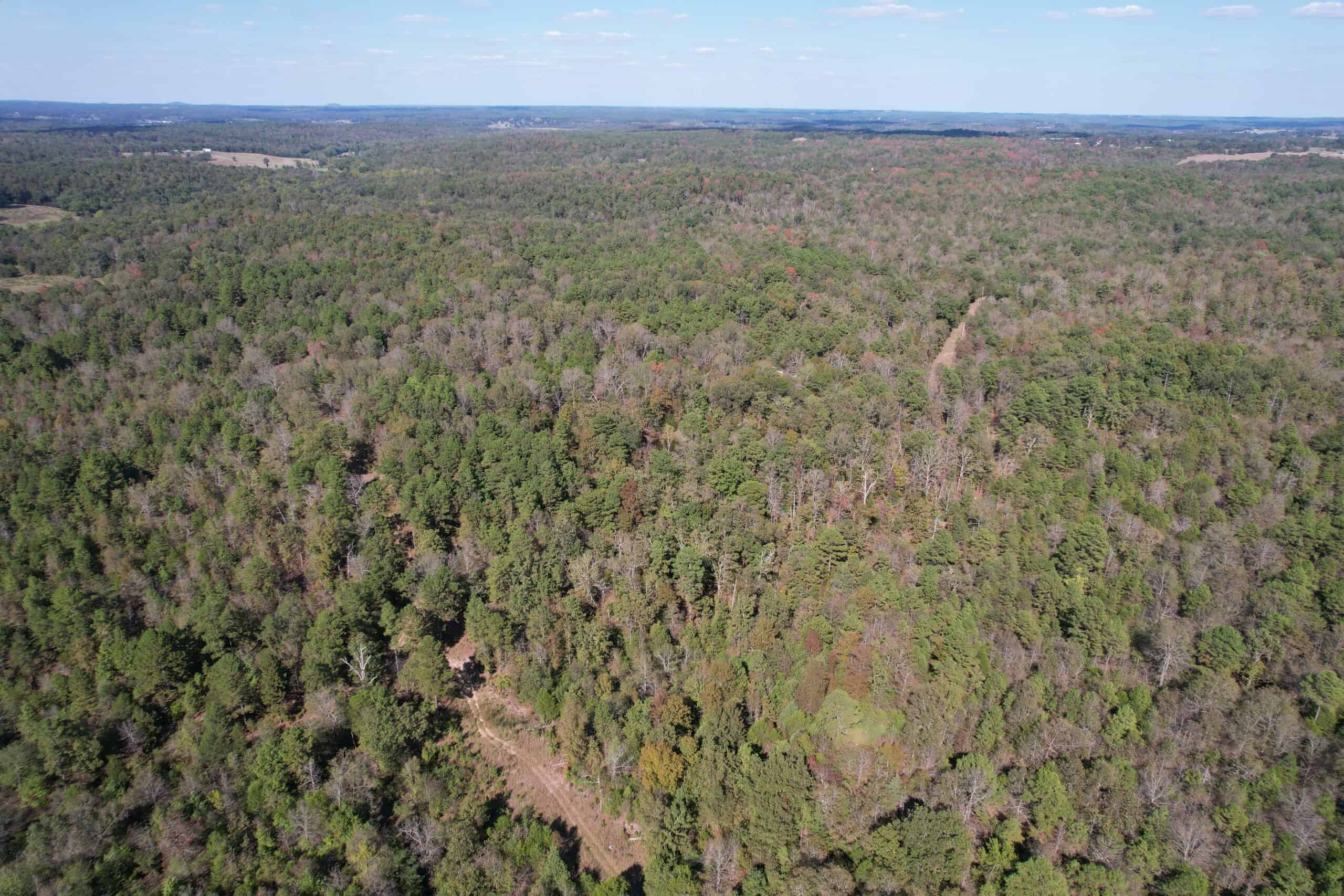 CABIN AND HUNTING LAND FOR SALE IN NORTH CENTRAL ARKANSAS