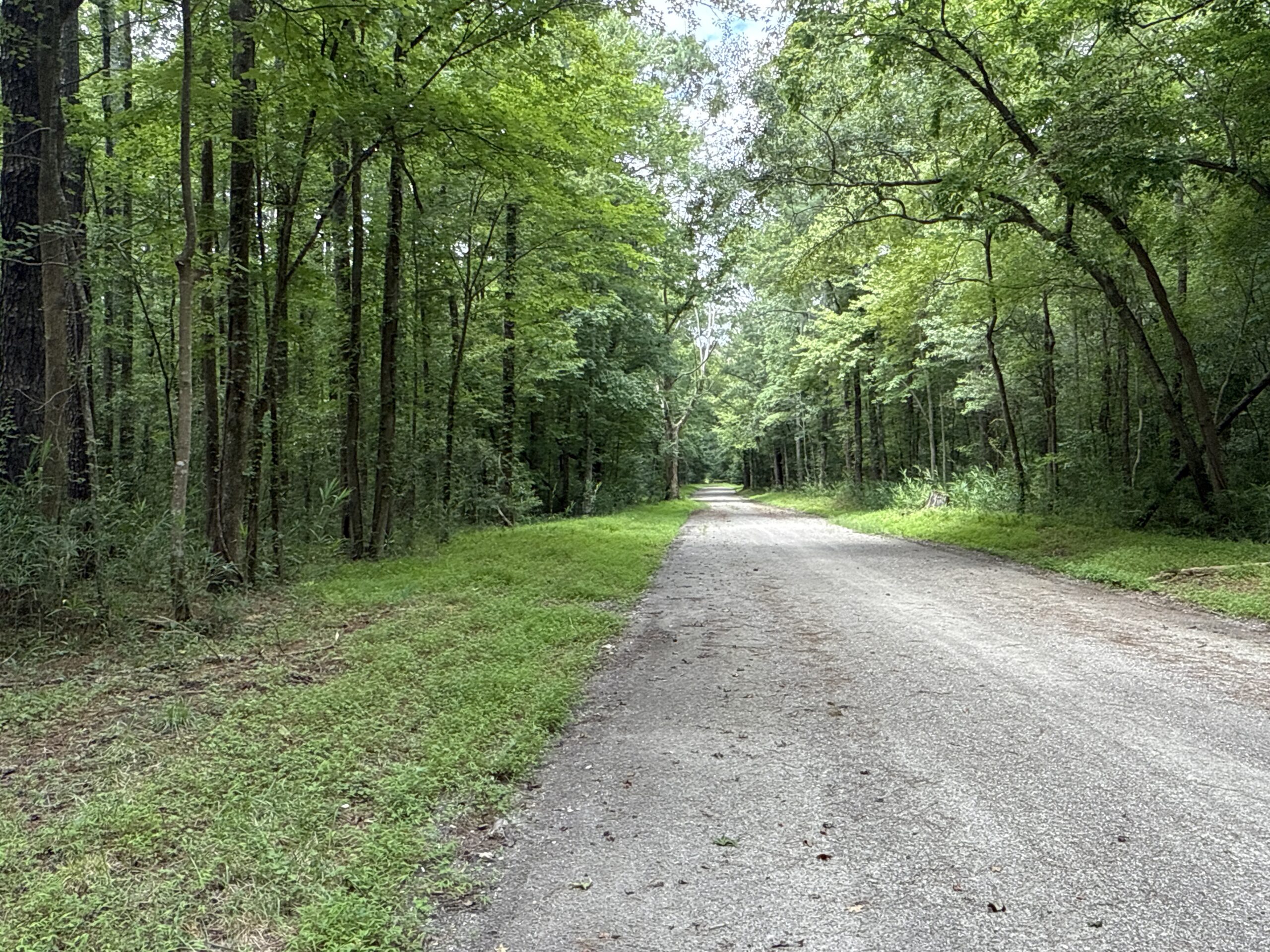 17 Acres Hunting Land with Timber for Sale in Aurora, NC