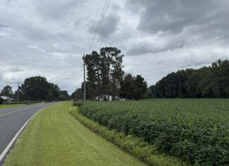 59 Acres of Farmland & Timberland in Rural NC – Great Hunting