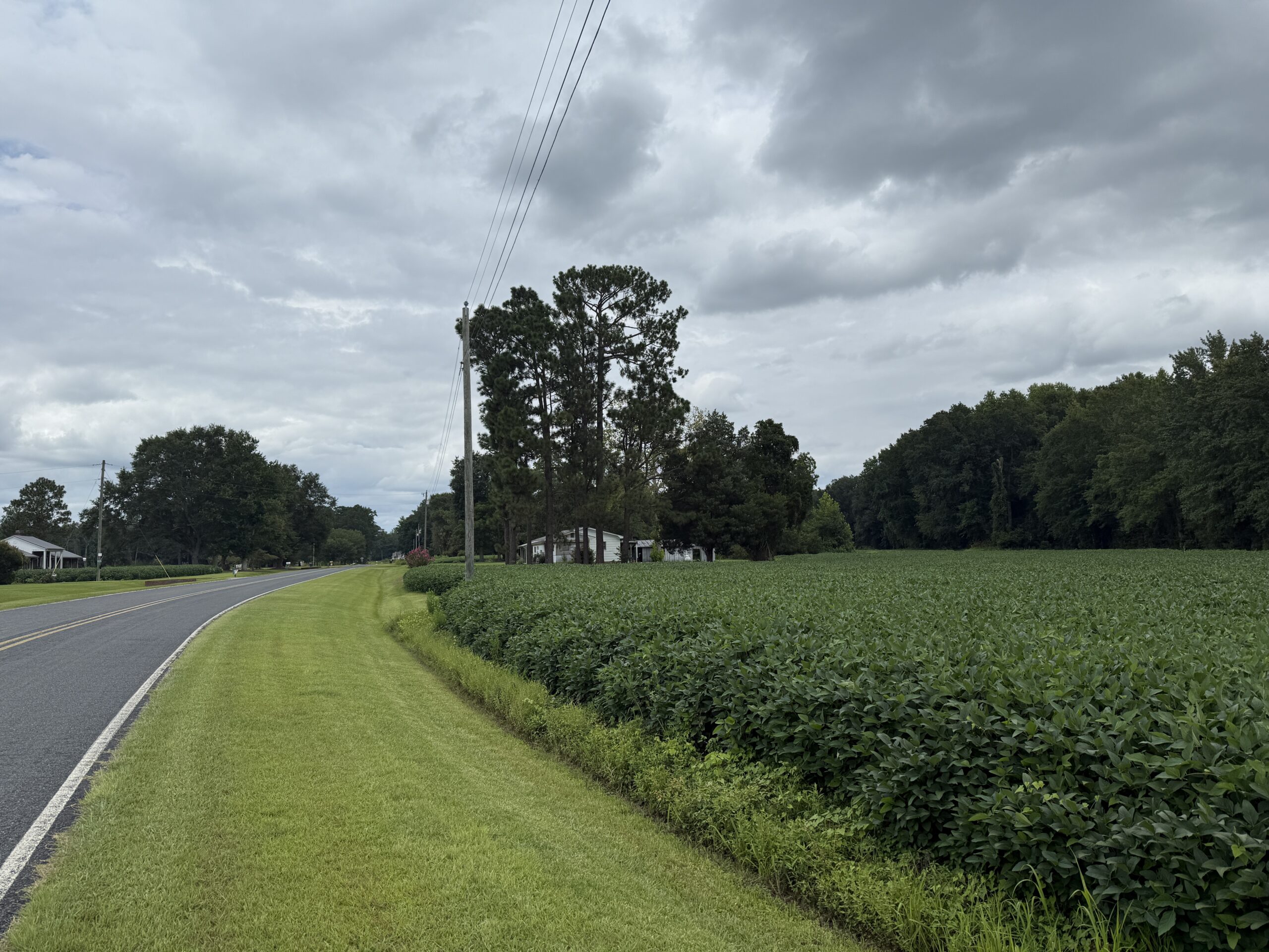 59 Acres of Farmland & Timberland in Rural NC – Great Hunting