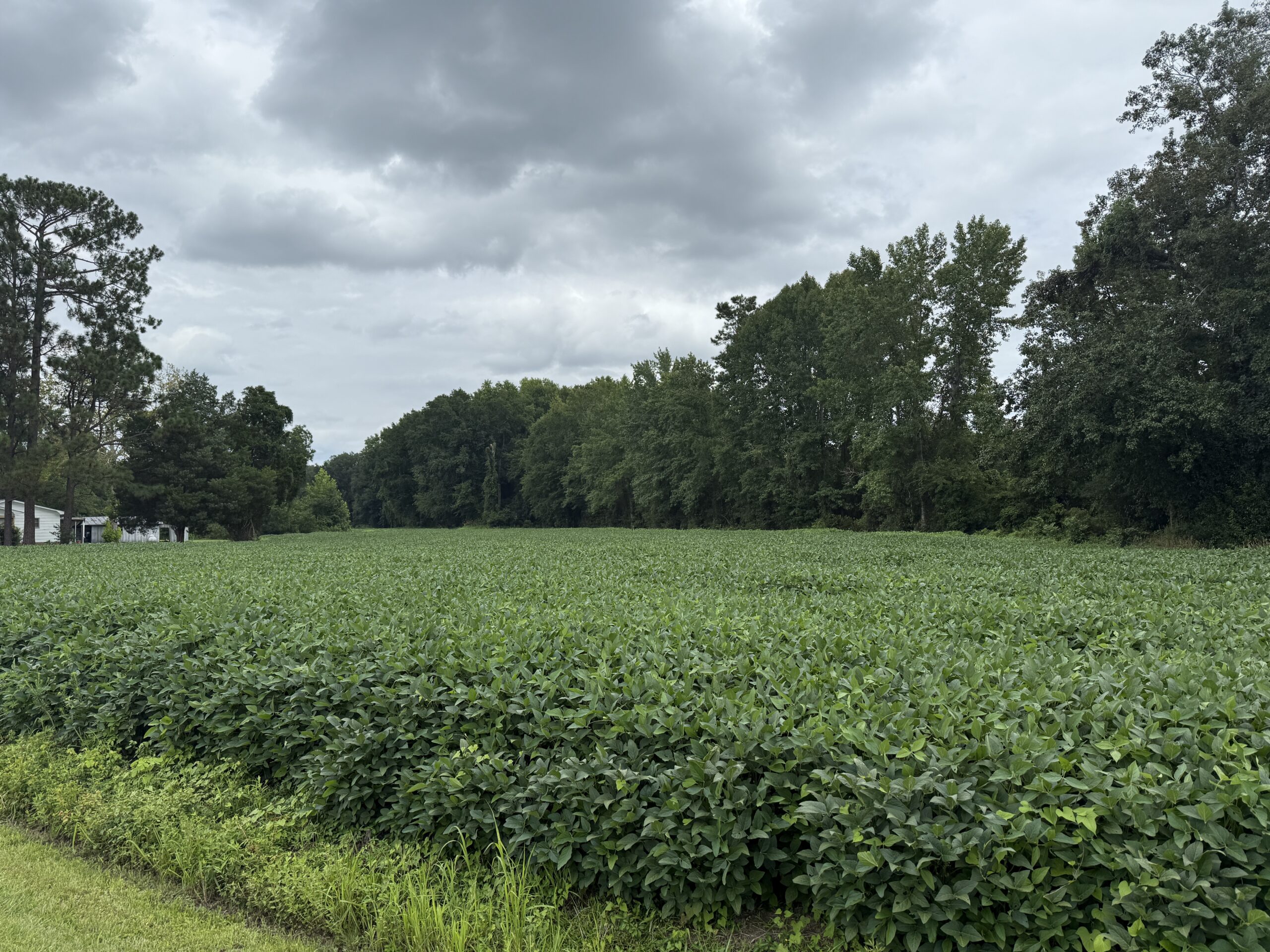 59 Acres of Farmland & Timberland in Rural NC – Great Hunting