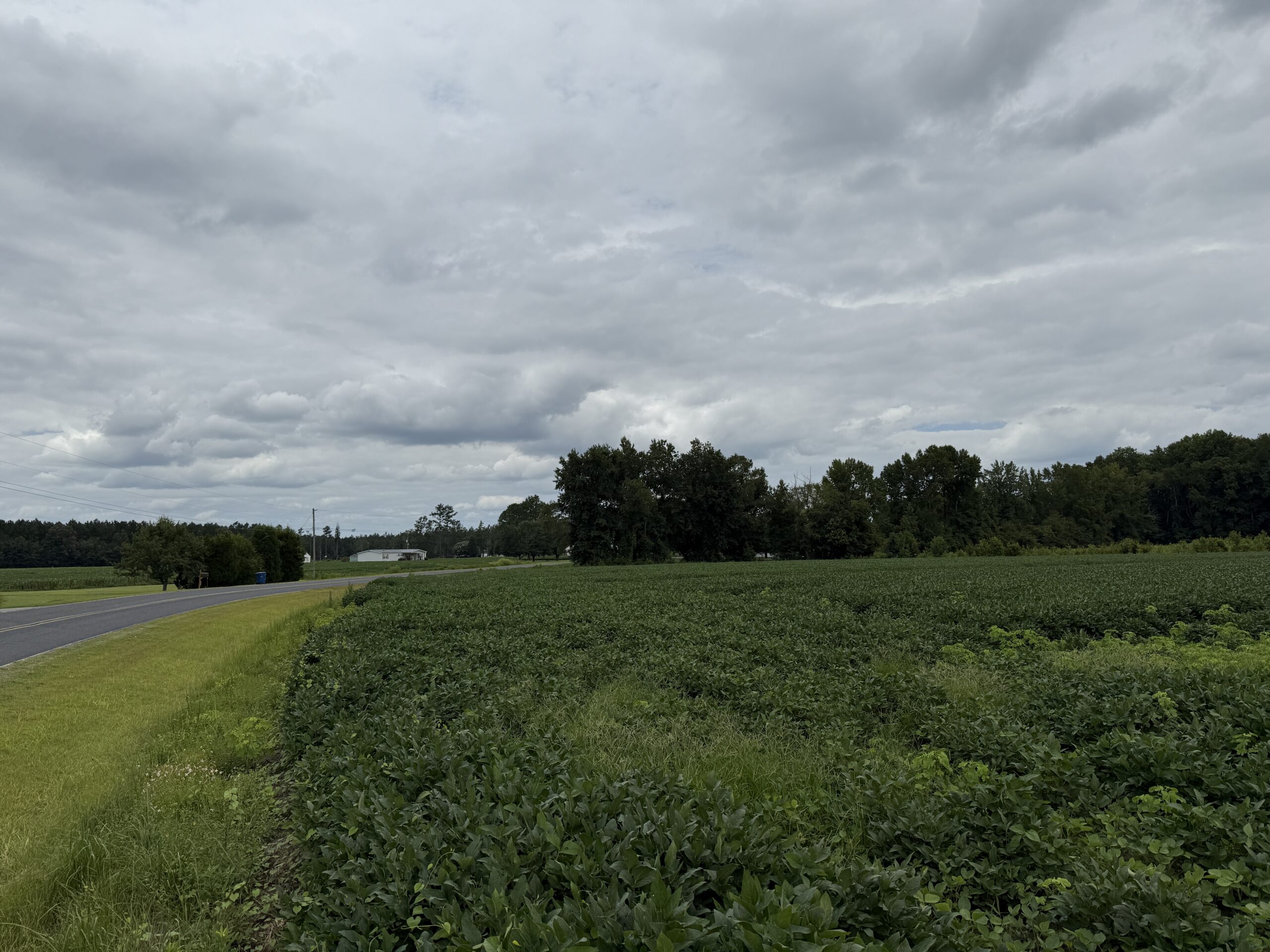 59 Acres of Farmland & Timberland in Rural NC – Great Hunting