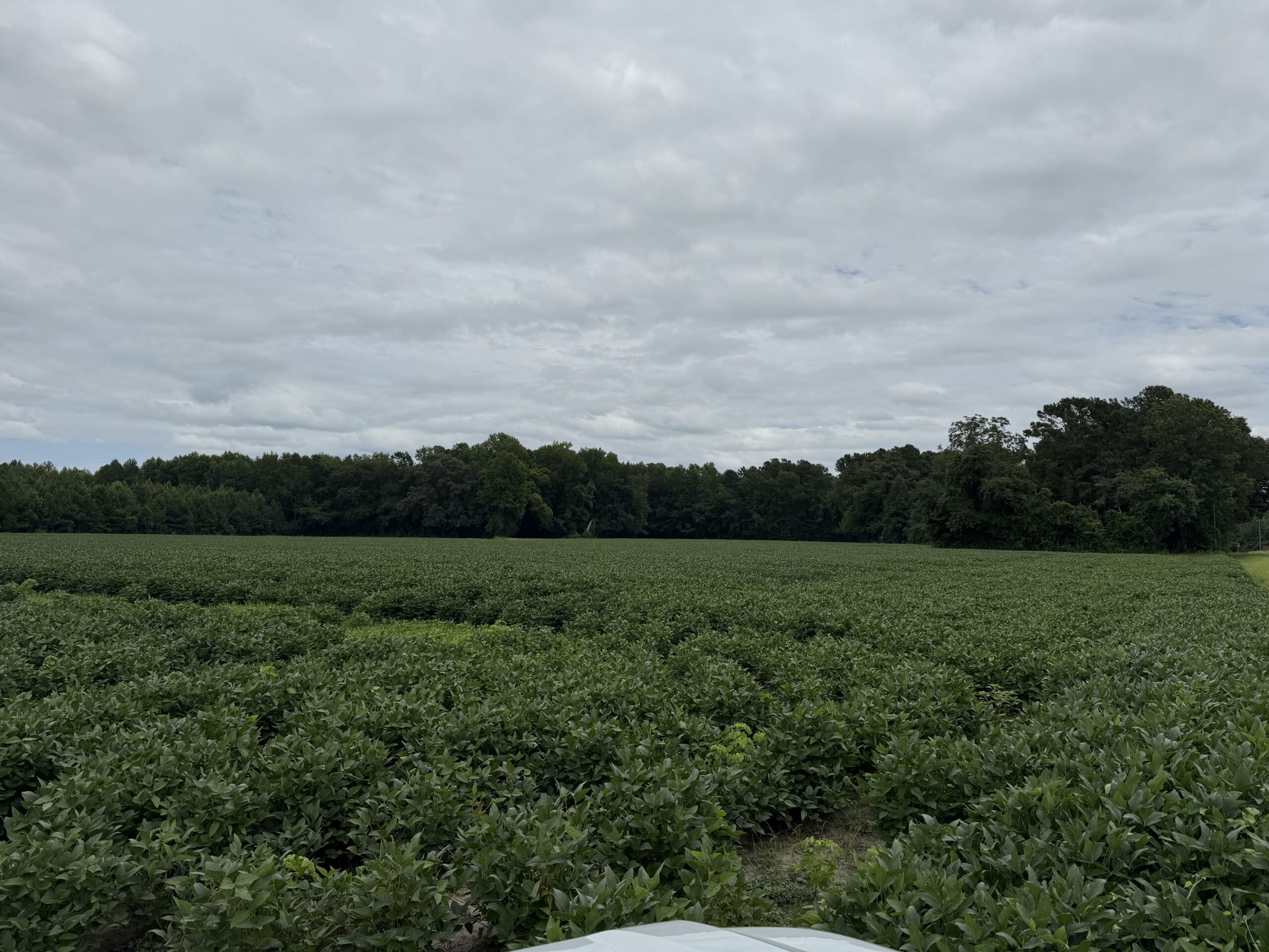 59 Acres of Farmland & Timberland in Rural NC – Great Hunting