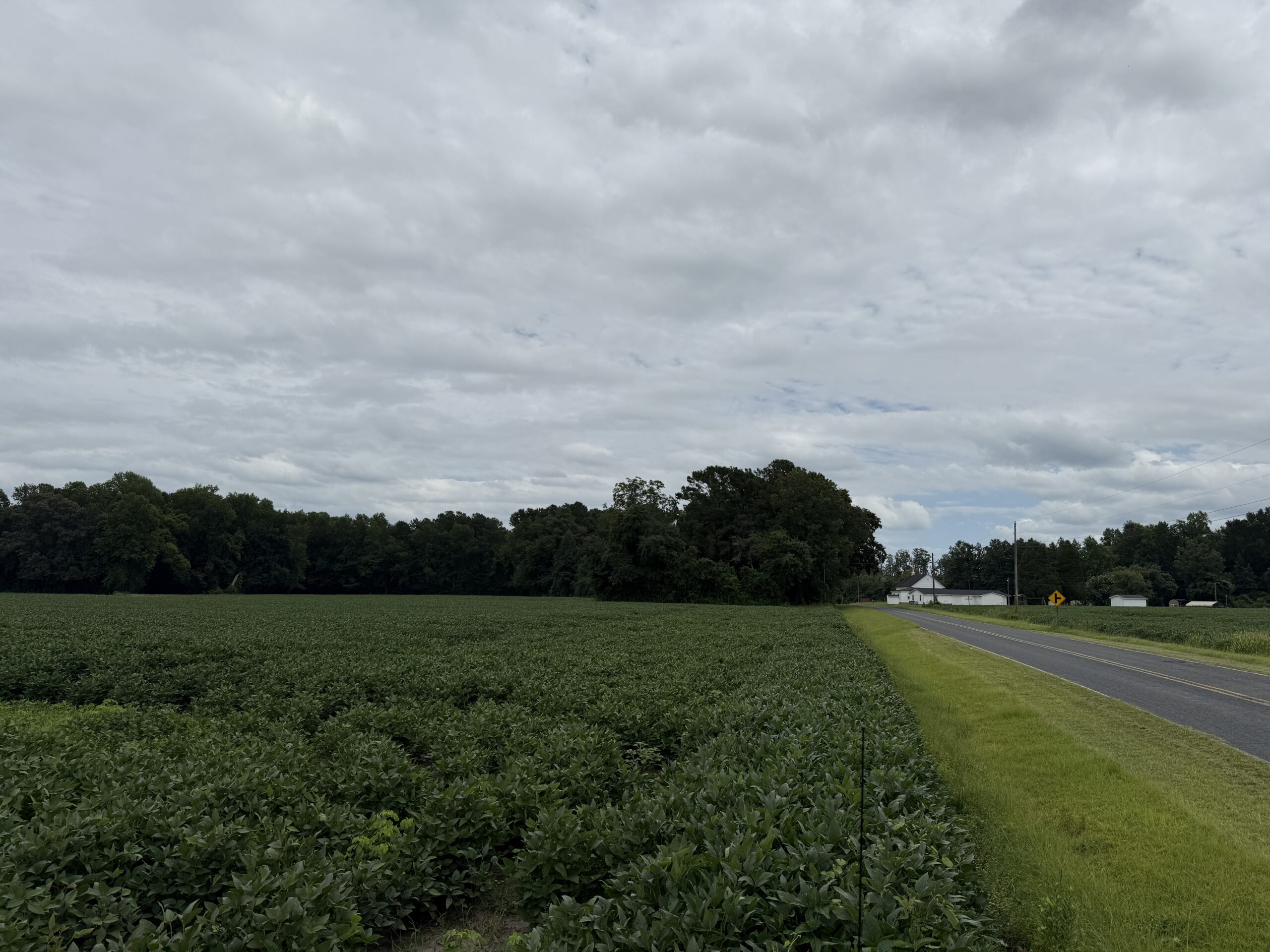 59 Acres of Farmland & Timberland in Rural NC – Great Hunting