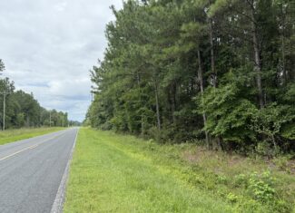 305 Acres Farmland & Timber with Hunting in NC