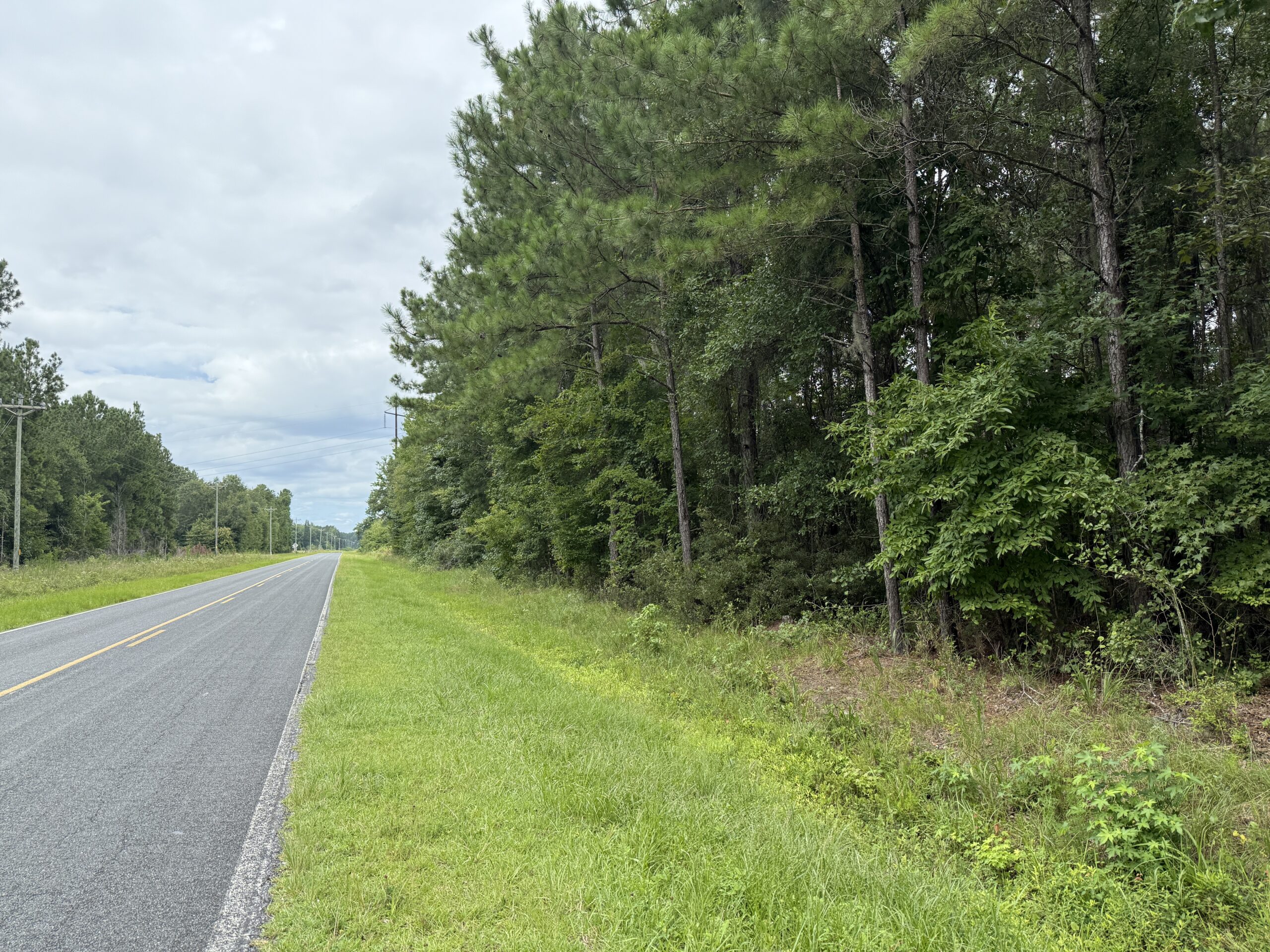 305 Acres Farmland & Timber with Hunting in NC