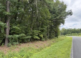 305 Acres Farmland & Timber with Hunting in NC