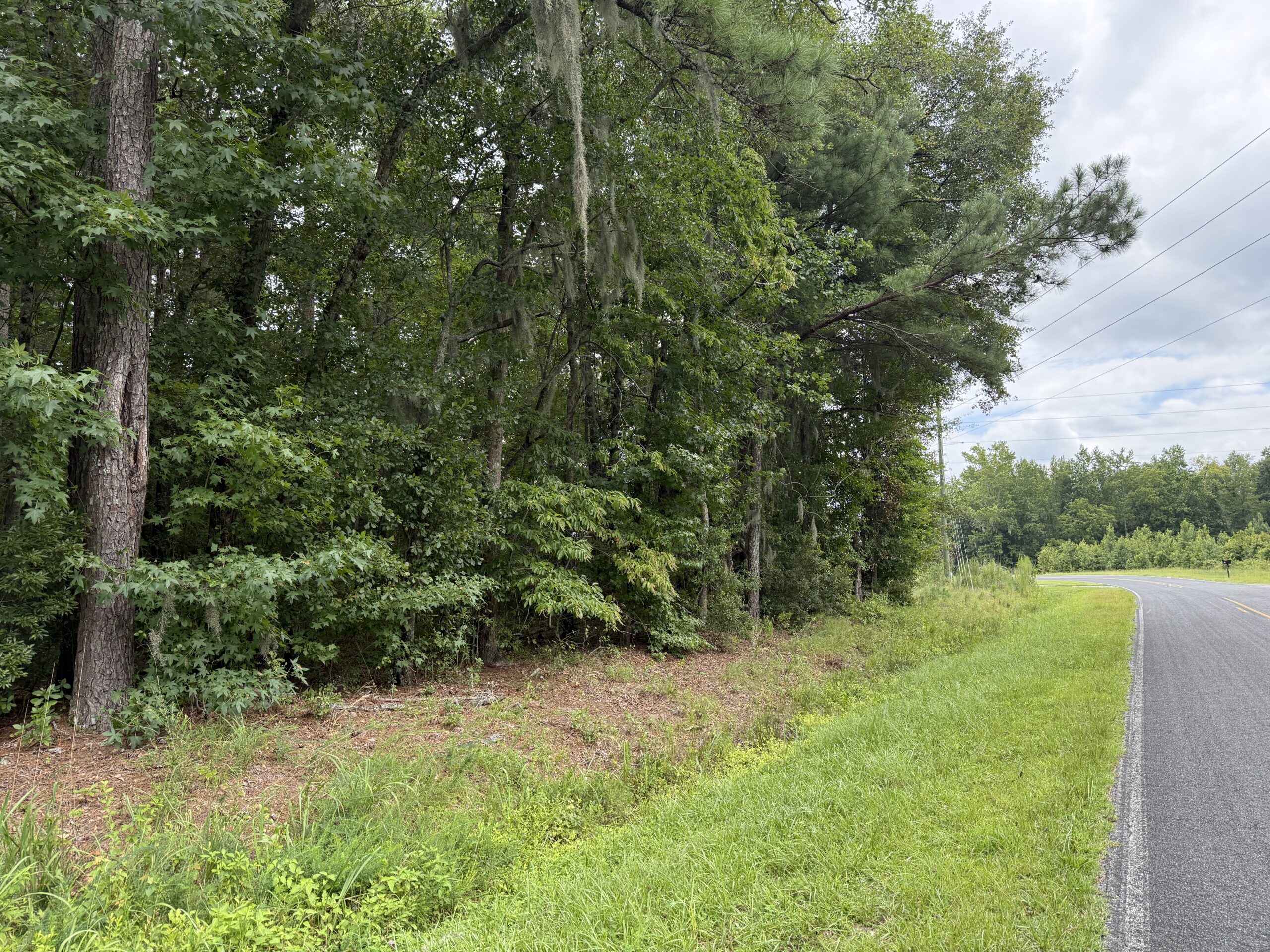 305 Acres Farmland & Timber with Hunting in NC
