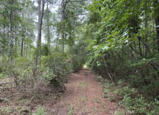 305 Acres Farmland & Timber with Hunting in NC