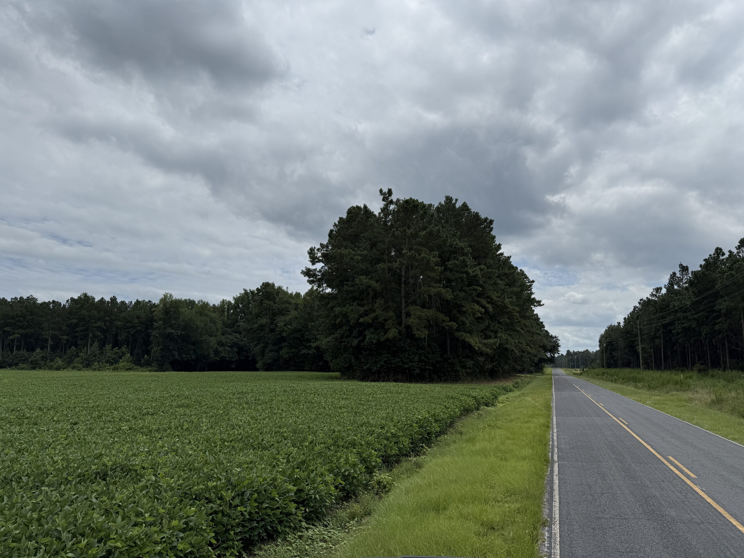 305 Acres Farmland & Timber with Hunting in NC