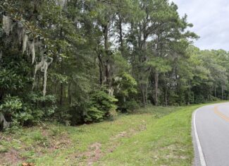 21 Acres of Timber & Hunting Land Near Aurora, NC