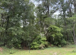 21 Acres of Timber & Hunting Land Near Aurora, NC
