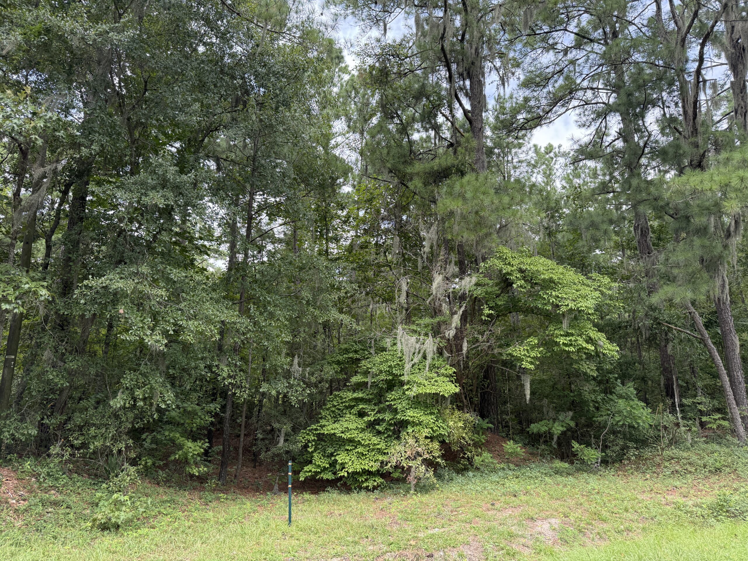 21 Acres of Timber & Hunting Land Near Aurora, NC