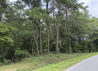 21 Acres of Timber & Hunting Land Near Aurora, NC