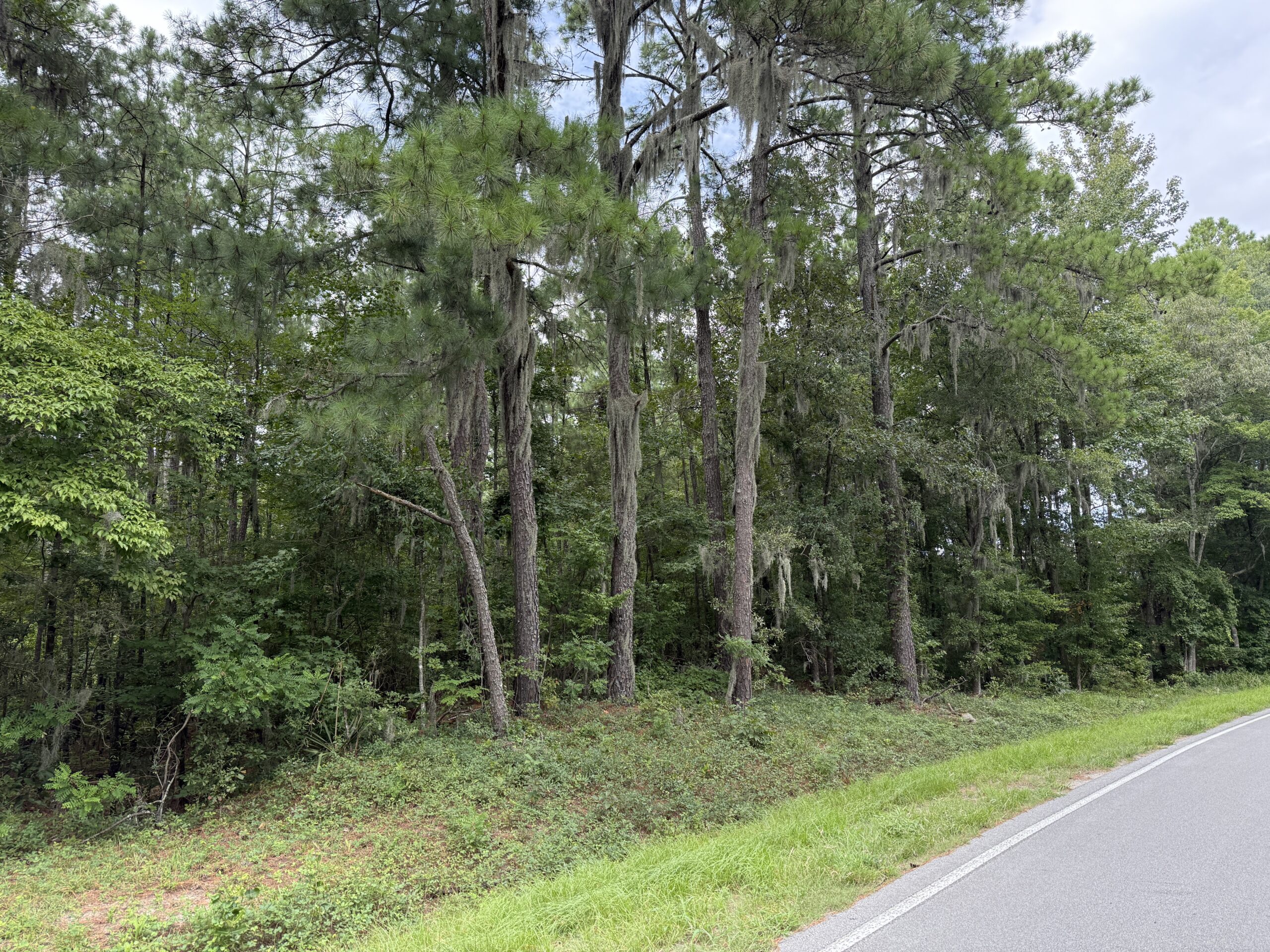 21 Acres of Timber & Hunting Land Near Aurora, NC