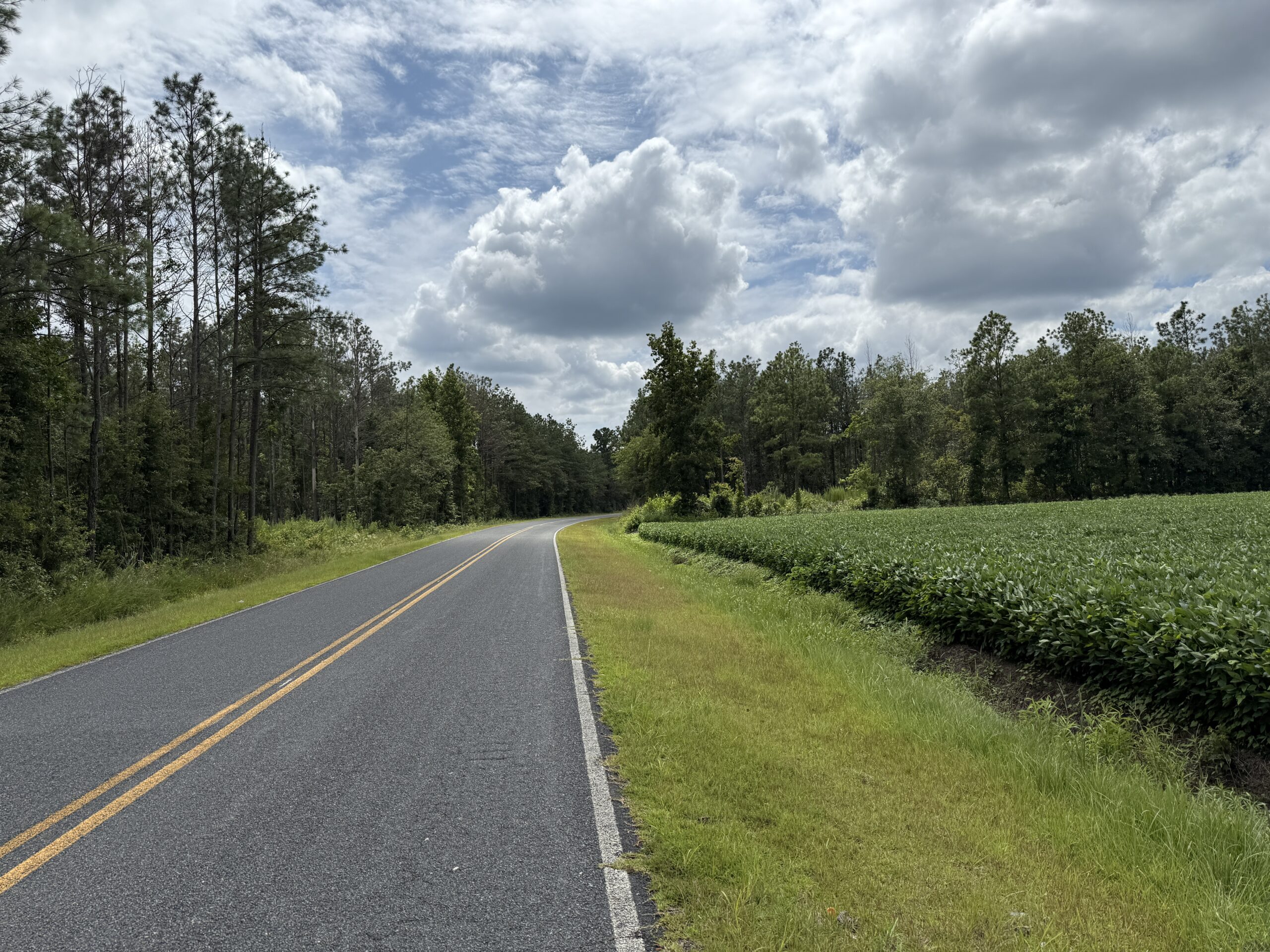 77-Acre Farm & Timberland with Hunting Near Aurora, NC