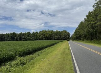 77-Acre Farm & Timberland with Hunting Near Aurora, NC