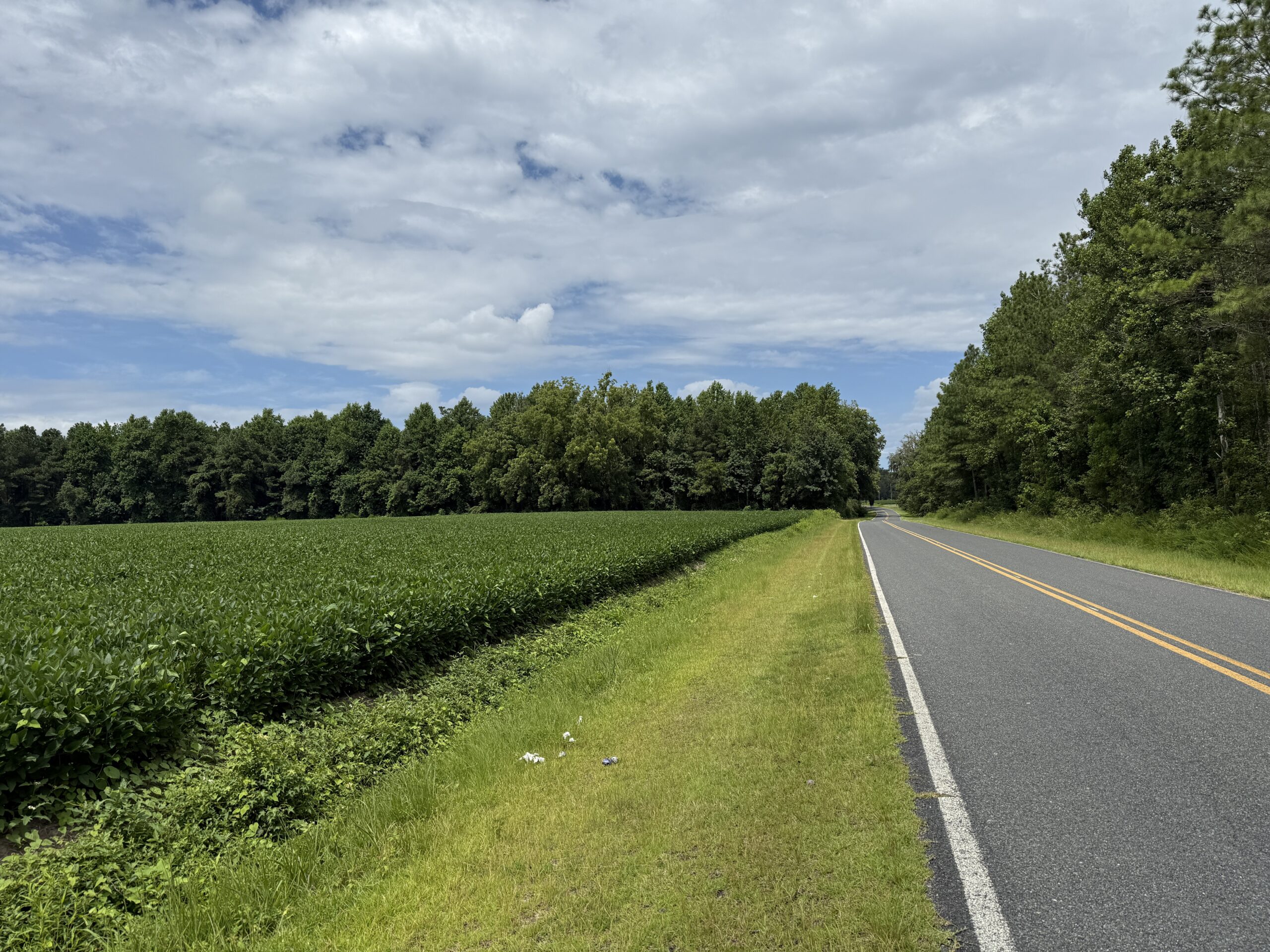 77-Acre Farm & Timberland with Hunting Near Aurora, NC