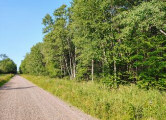 Land for Sale in Glidden, Wisconsin