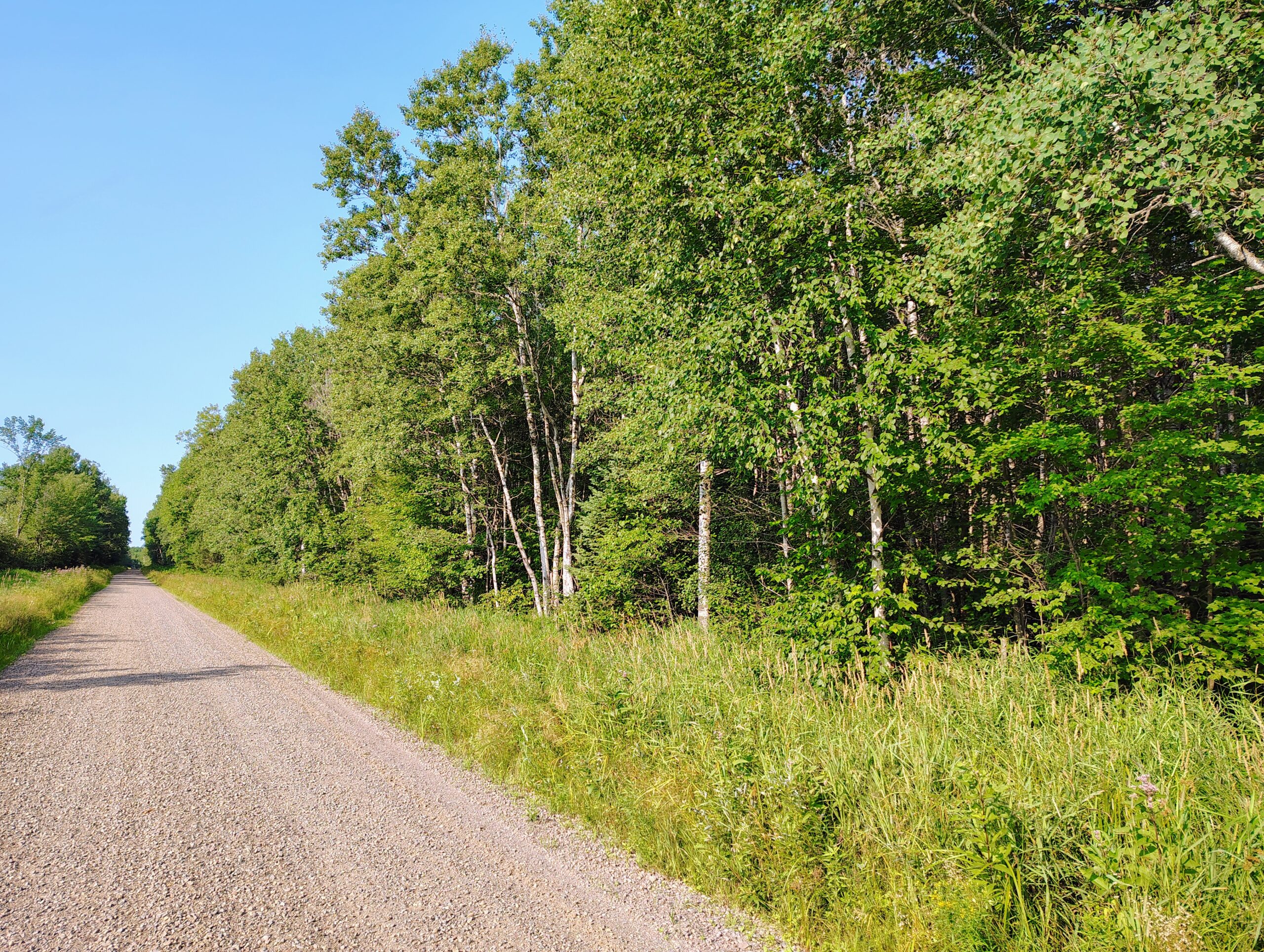 Land for Sale in Glidden, Wisconsin