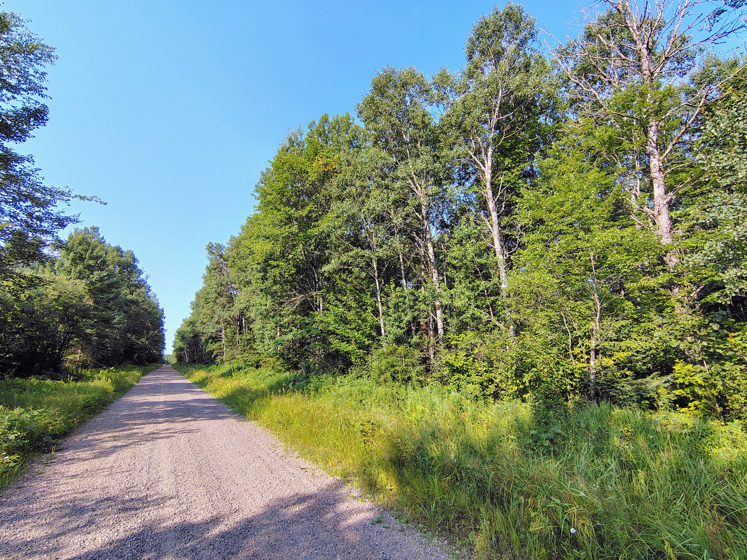 Land for Sale in Glidden, Wisconsin