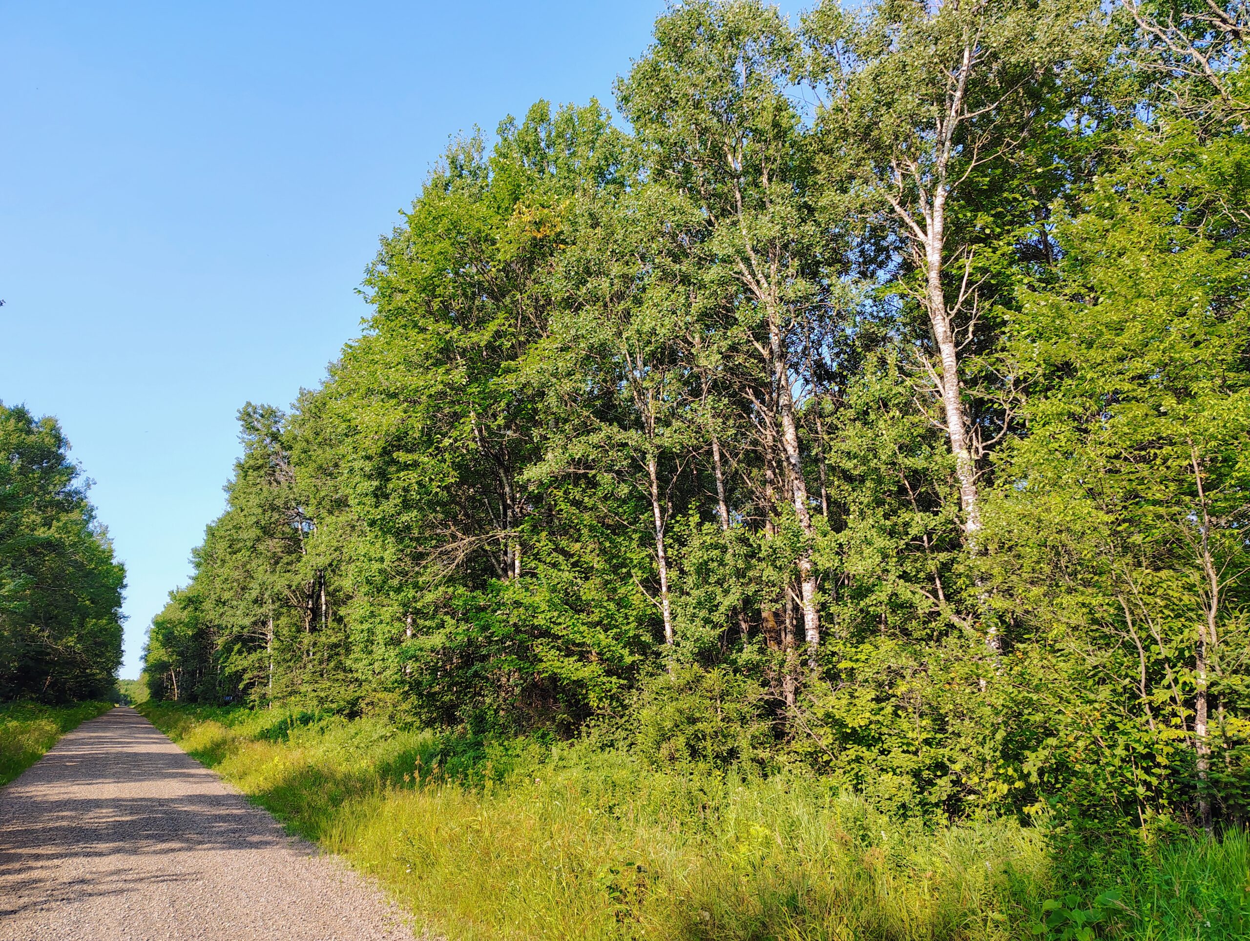 Land for Sale in Glidden, Wisconsin