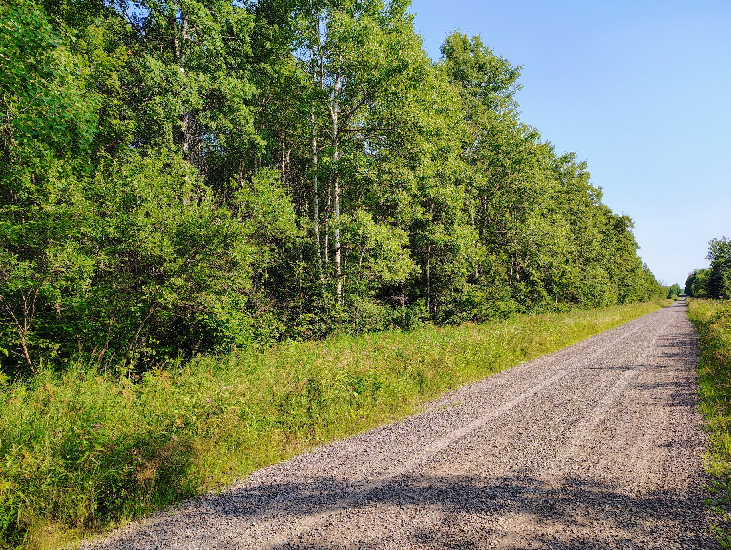 Land for Sale in Glidden, Wisconsin